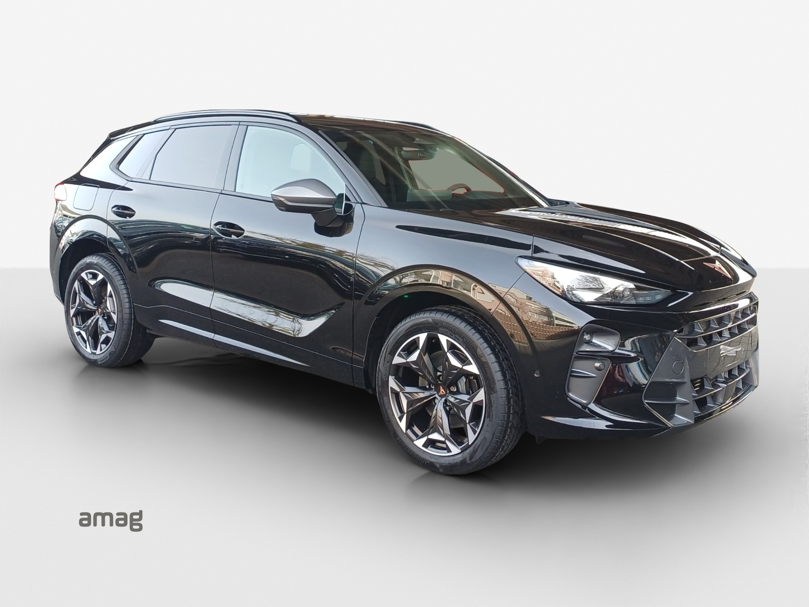CUPRA CUPRA TERRAMAR VZ 265 PS 4DRIVE DSG-image-5