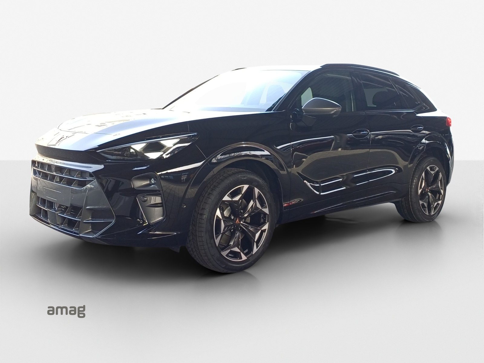 CUPRA CUPRA TERRAMAR VZ 265 PS 4DRIVE DSG-image-0