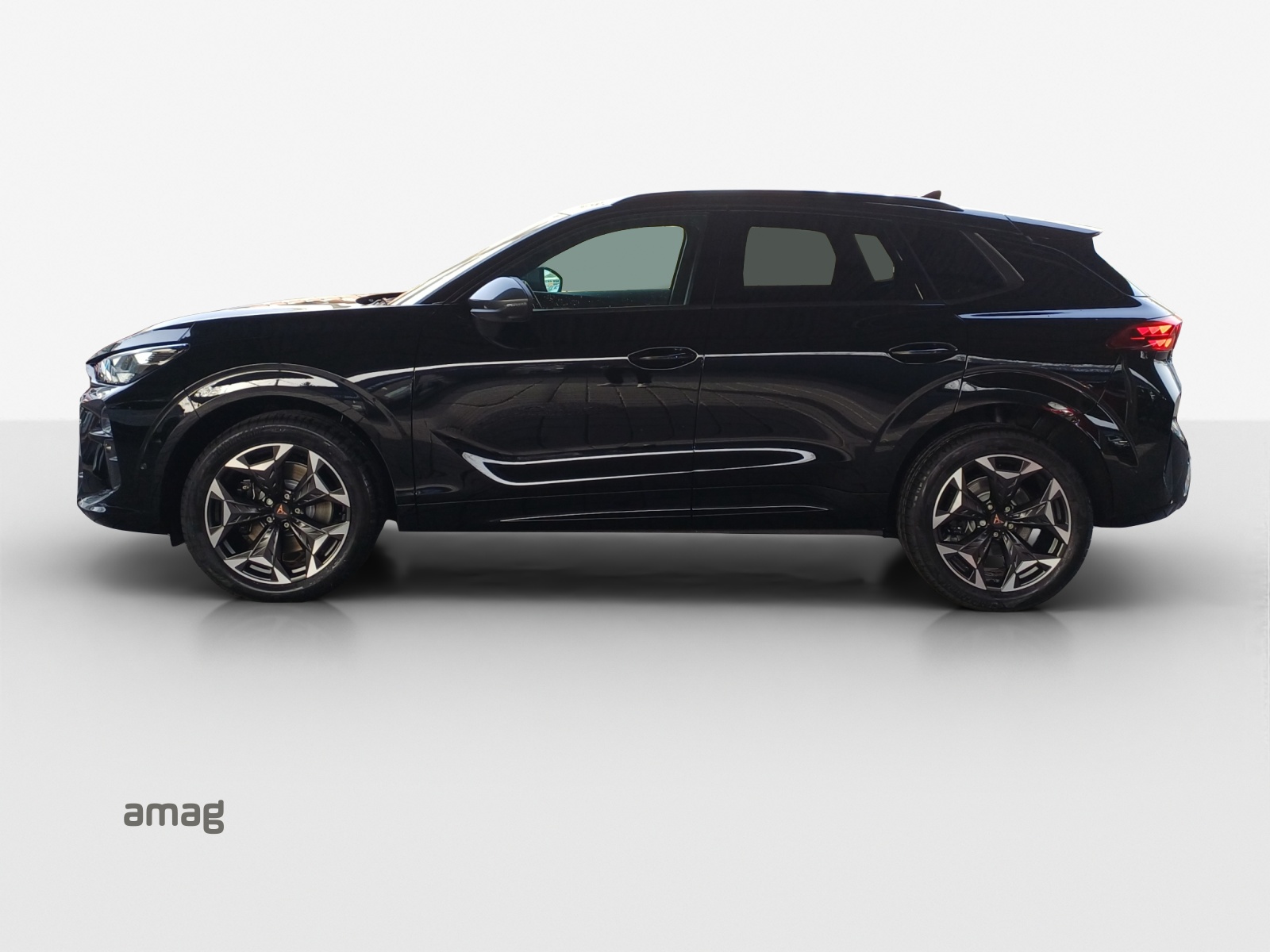 CUPRA CUPRA TERRAMAR VZ 265 PS 4DRIVE DSG-image-1
