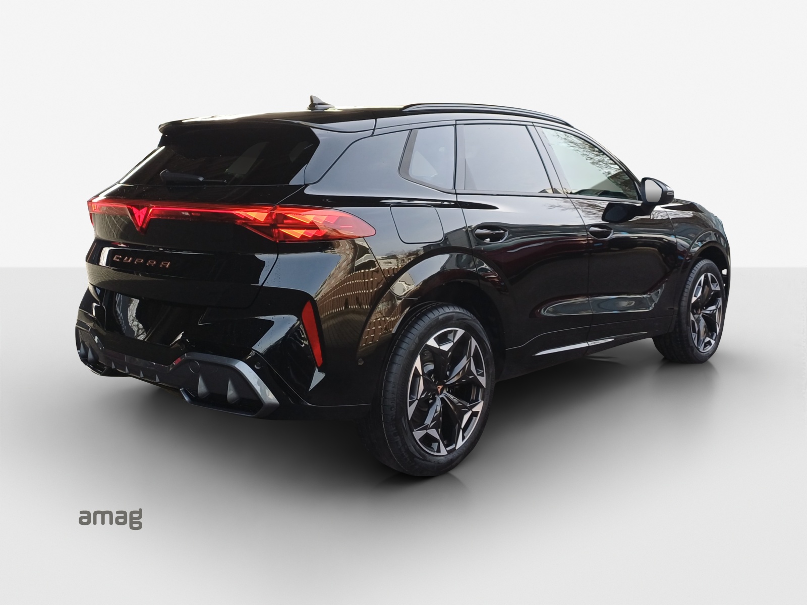 CUPRA CUPRA TERRAMAR VZ 265 PS 4DRIVE DSG-image-4