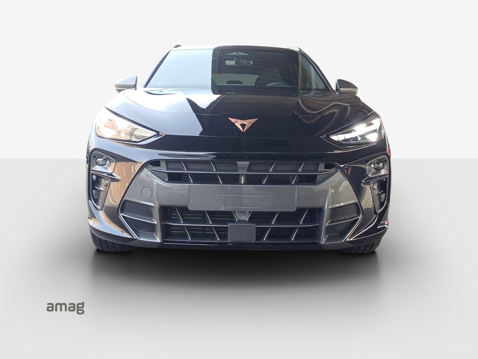 CUPRA CUPRA TERRAMAR VZ 265 PS 4DRIVE DSG-image-6