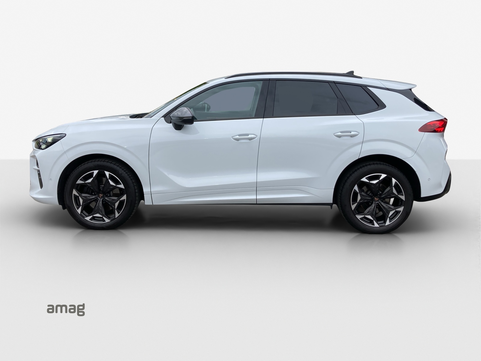 CUPRA Terramar 2.0 TSI DSG 4Drive VZ-image-1