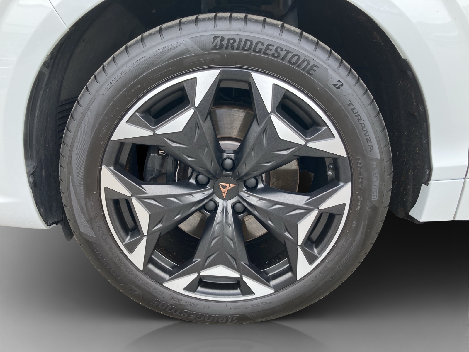 CUPRA Terramar 2.0 TSI DSG 4Drive VZ-image-15