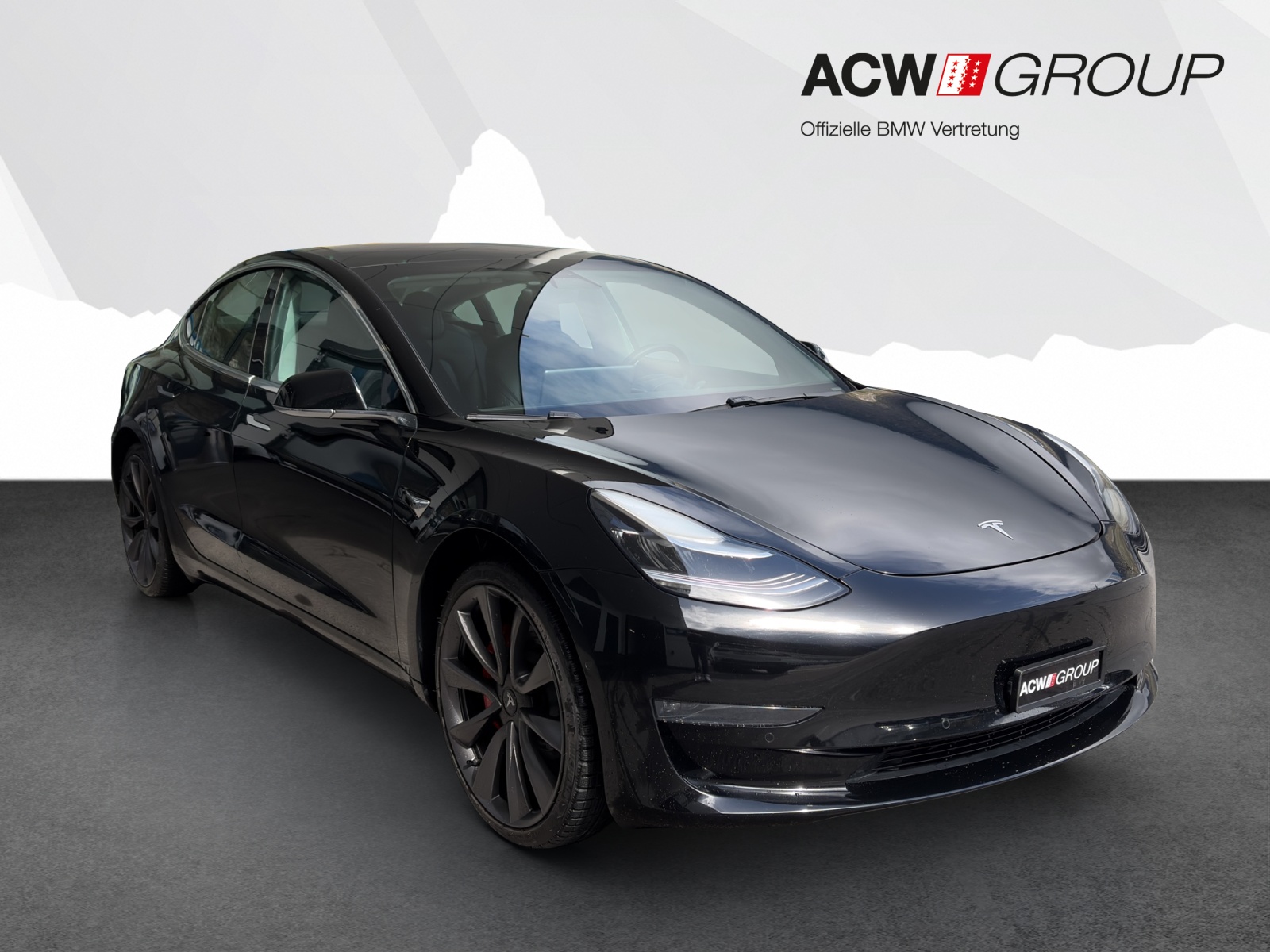 TESLA Model 3 Performance D-image-6