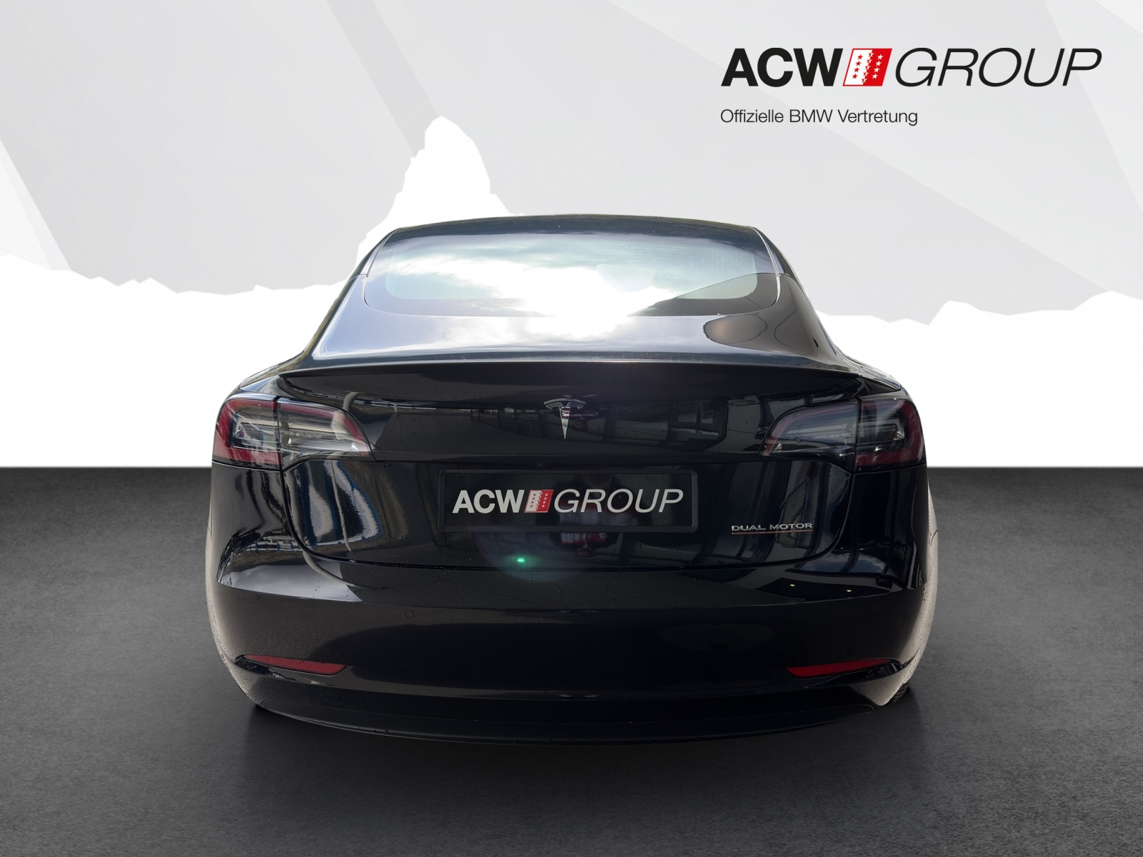 TESLA Model 3 Performance D-image-3
