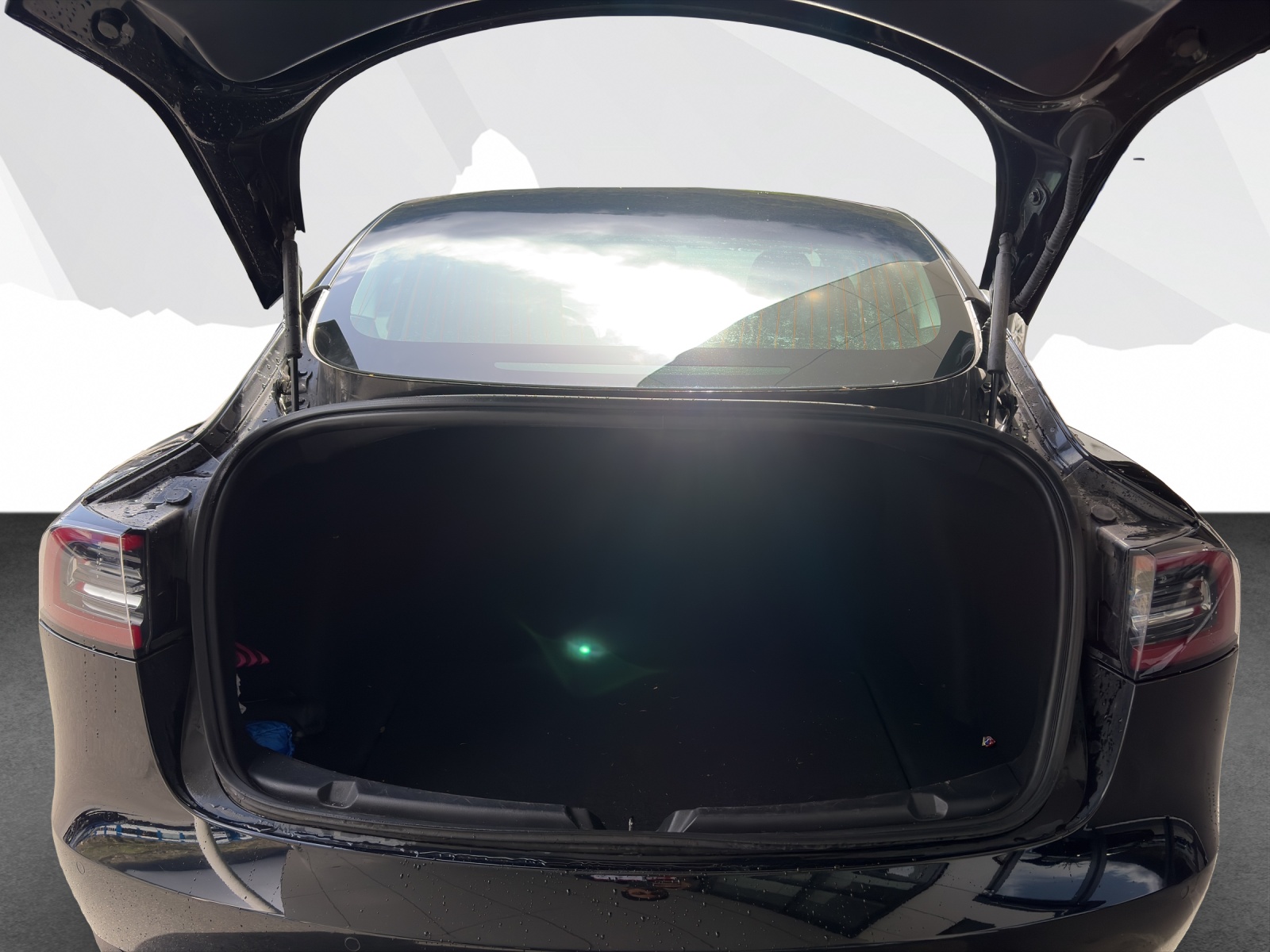 TESLA Model 3 Performance D-image-19