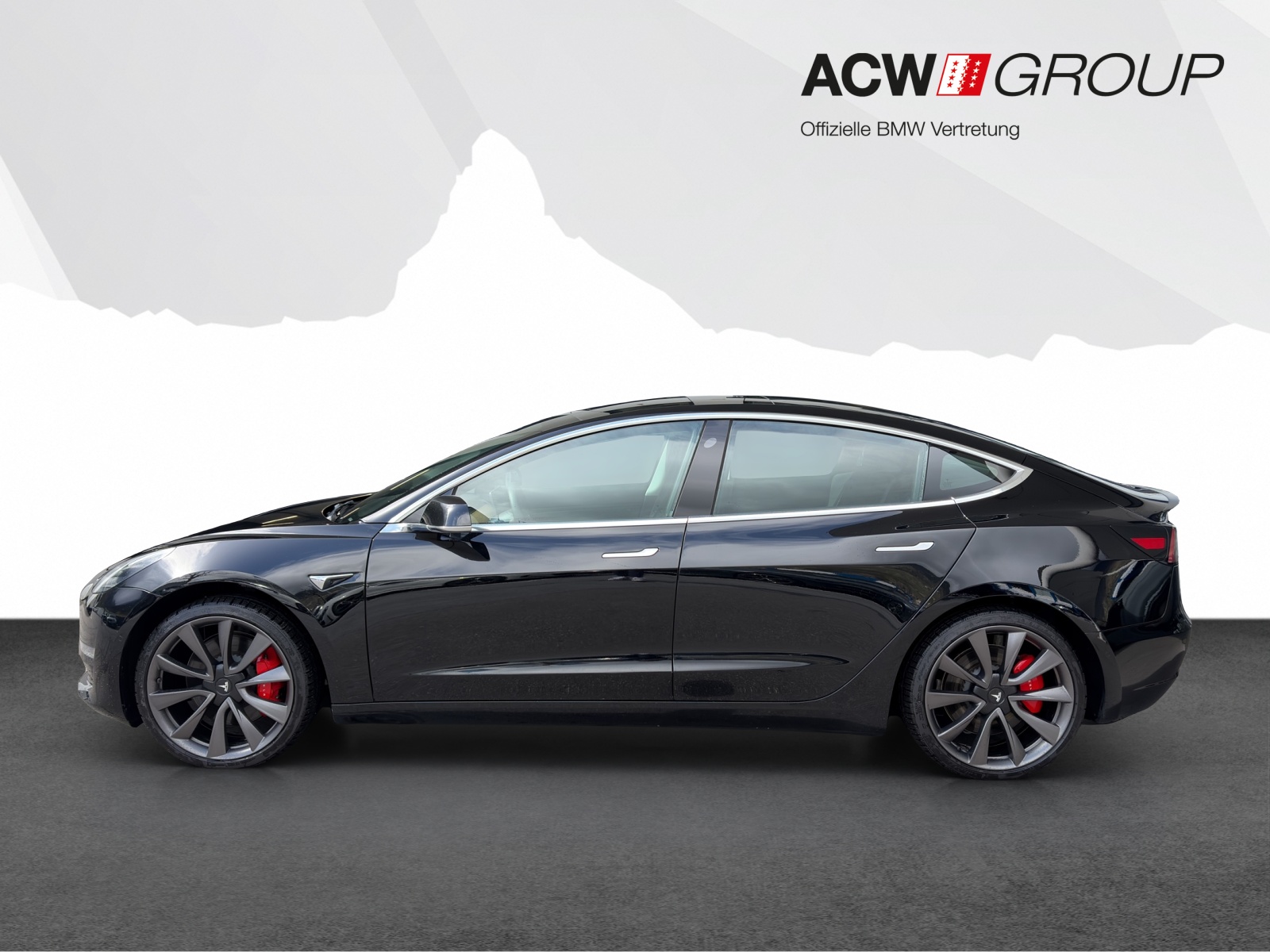TESLA Model 3 Performance D-image-1