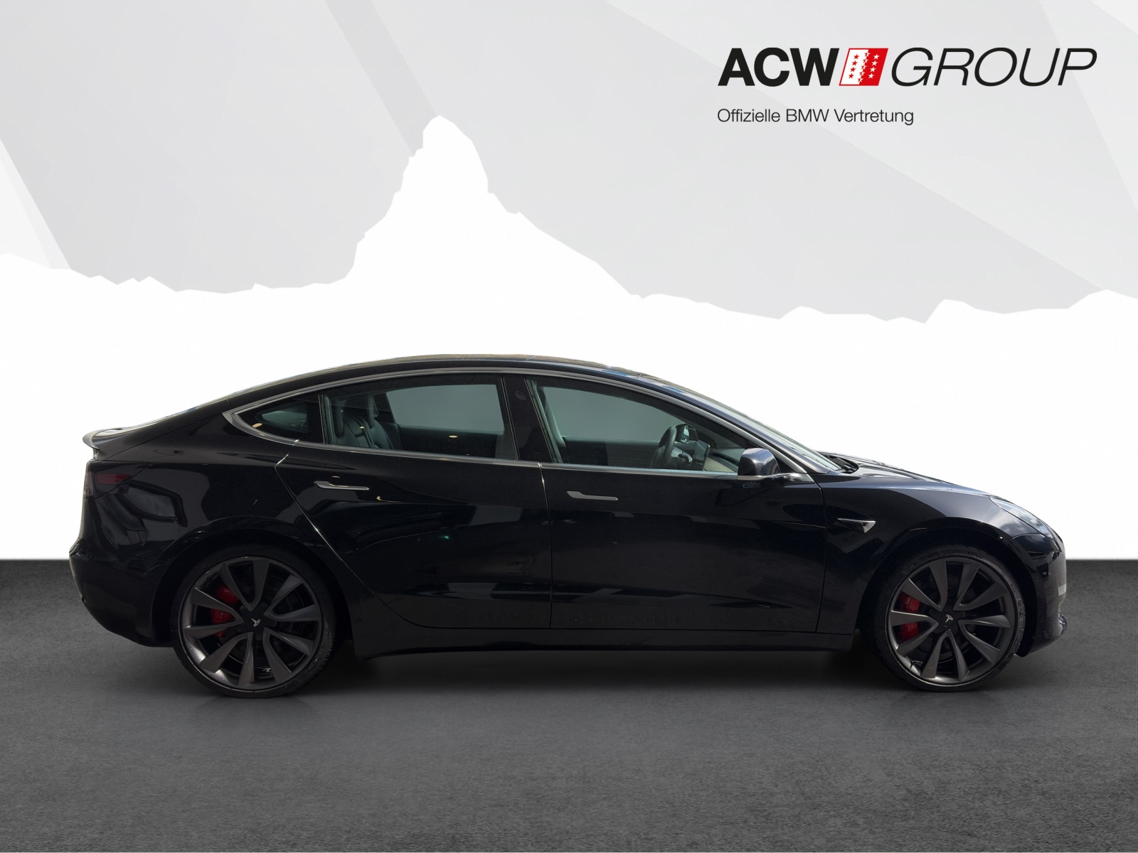 TESLA Model 3 Performance D-image-5