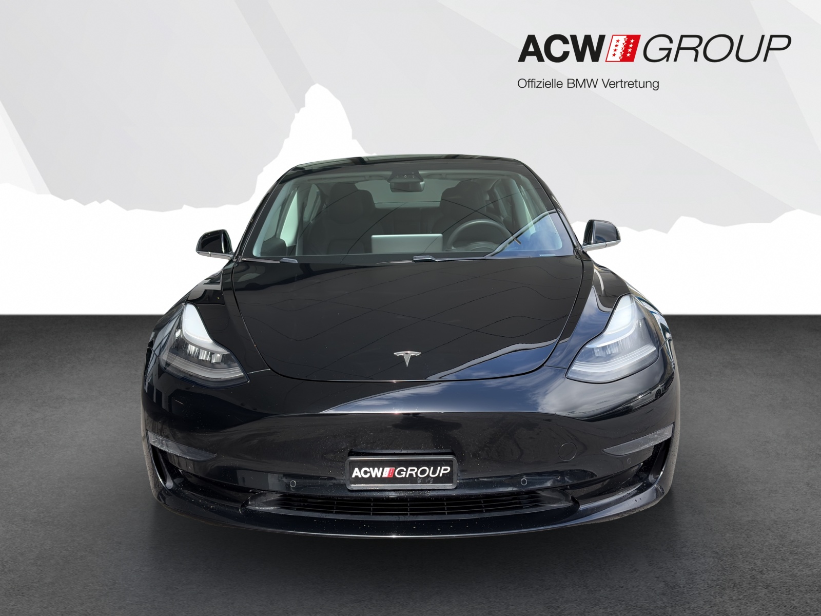 TESLA Model 3 Performance D-image-7