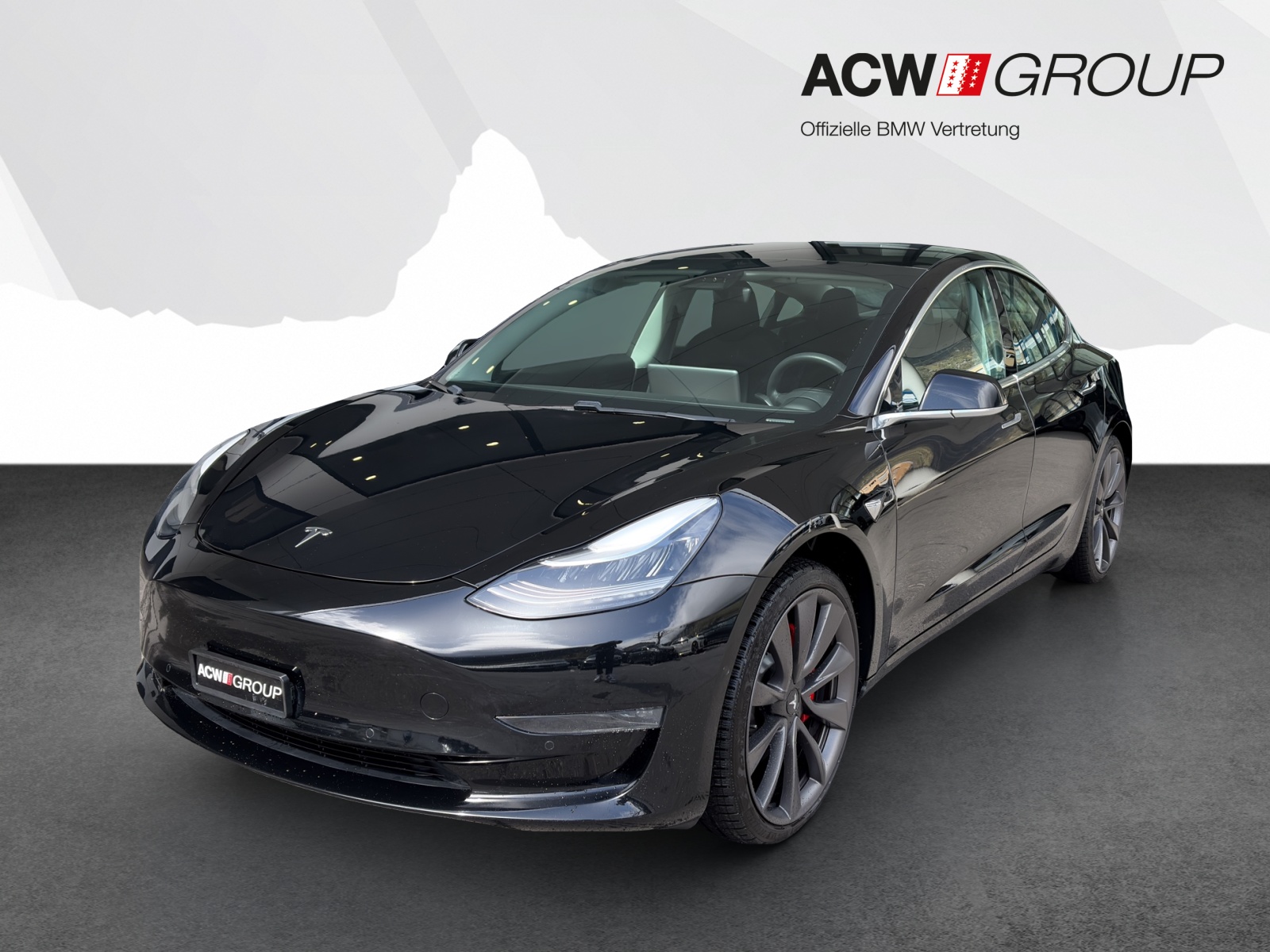 TESLA Model 3 Performance D-image-0