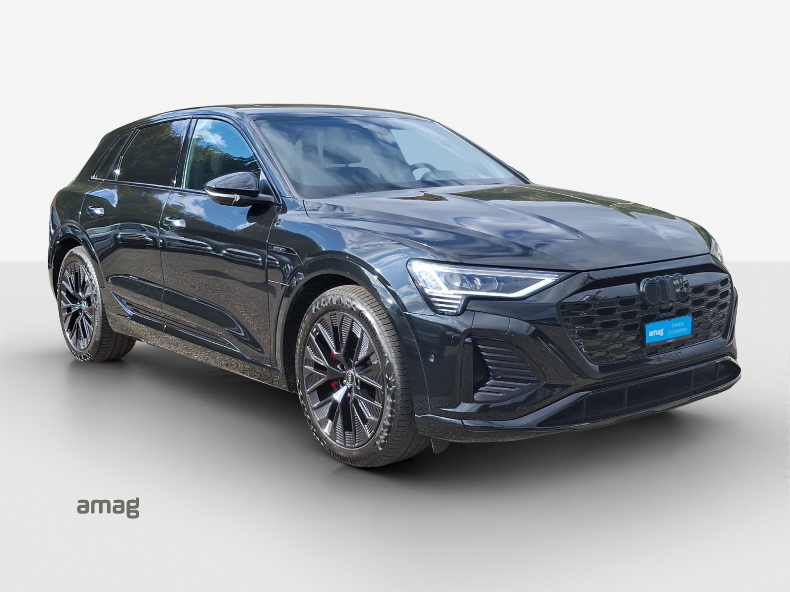 AUDI Q8 55 e-tron Black Edition quattro-image-6