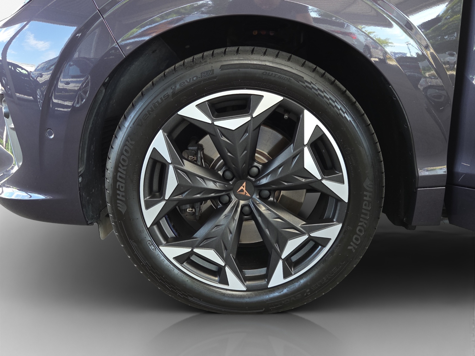 CUPRA Terramar 2.0 TSI DSG 4Drive VZ-image-10