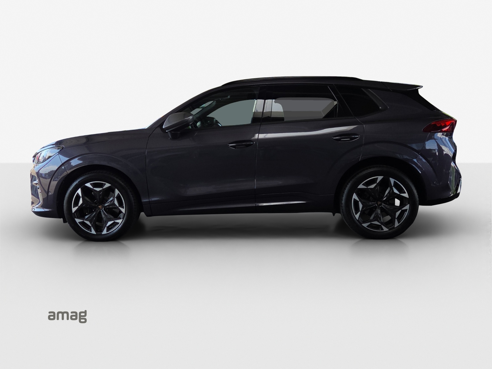 CUPRA Terramar 2.0 TSI DSG 4Drive VZ-image-1