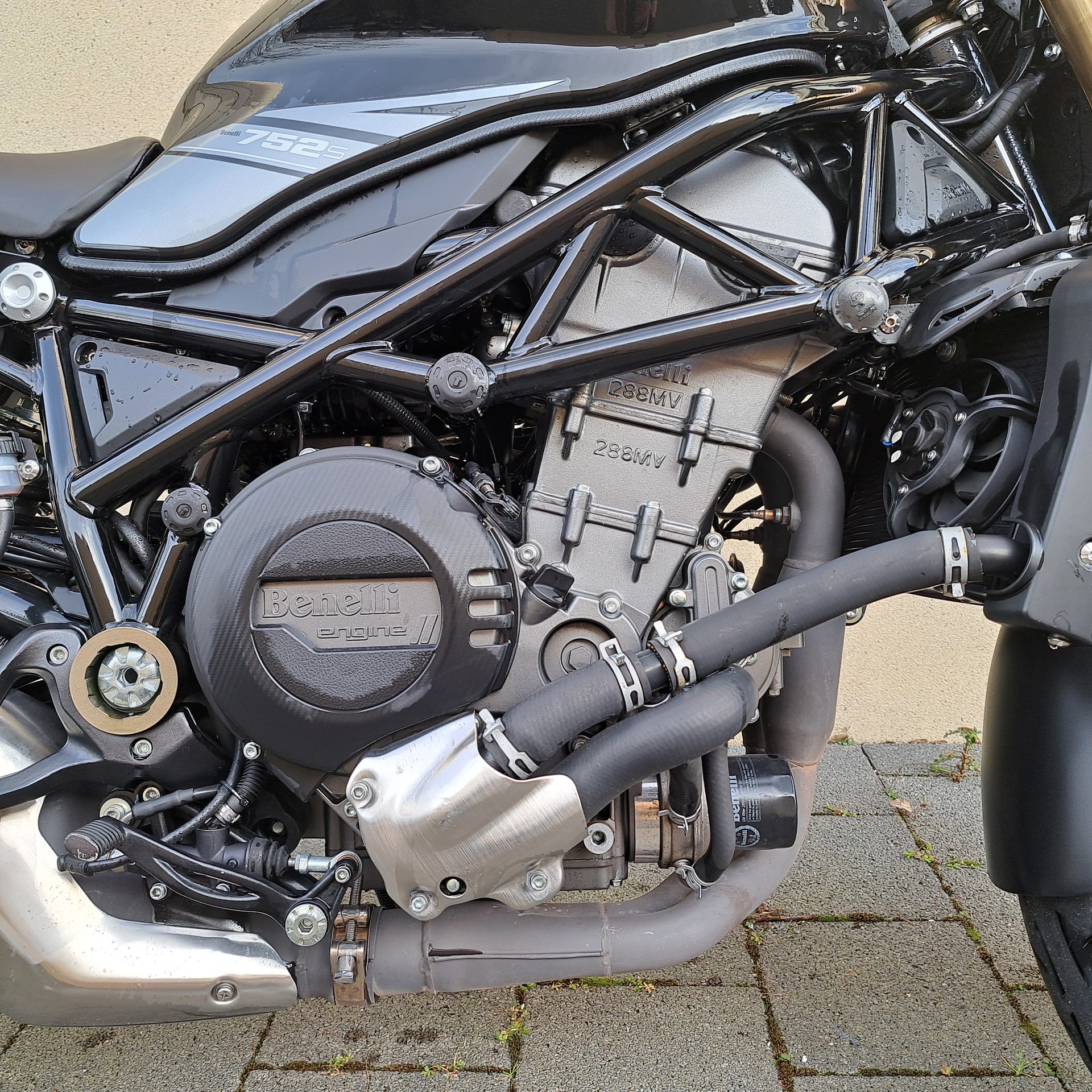 BENELLI 752 S-image-7