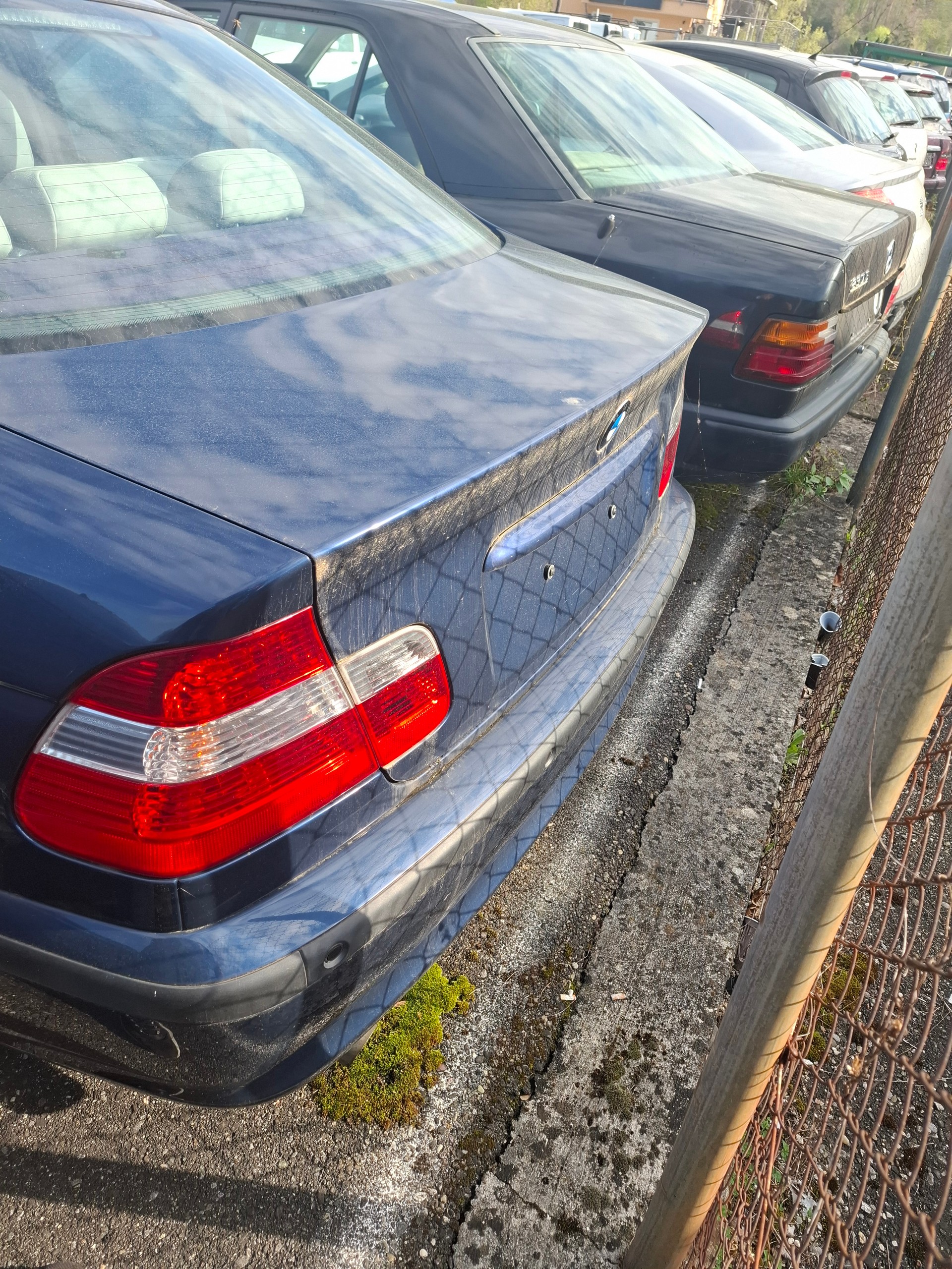 BMW 318i-image-3