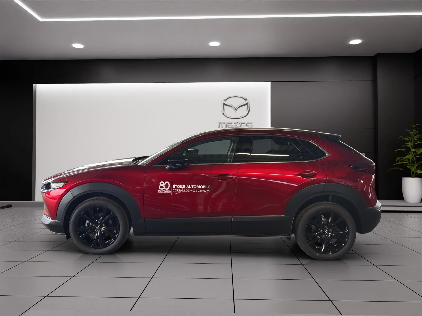MAZDA CX-30 SKYACTIV-X 186 M Hybrid Homura AWD AT-image-2