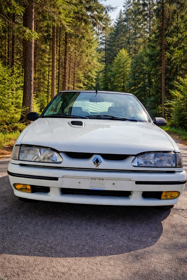 RENAULT R19 Cabrio 16V Veteranenfahrzeug-image-3