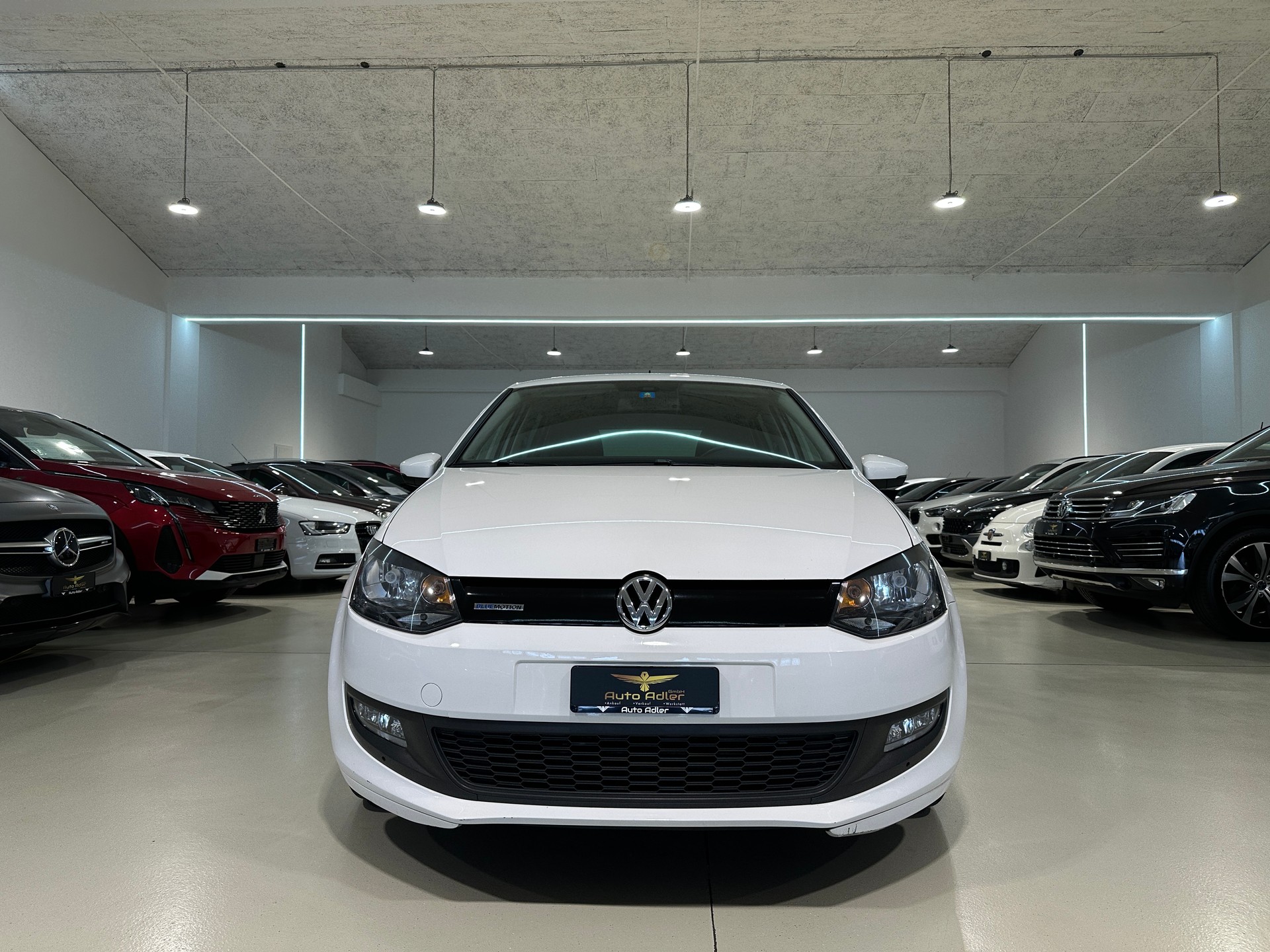 VW Polo 1.2 TDI BlueMotion Trendline-image-0