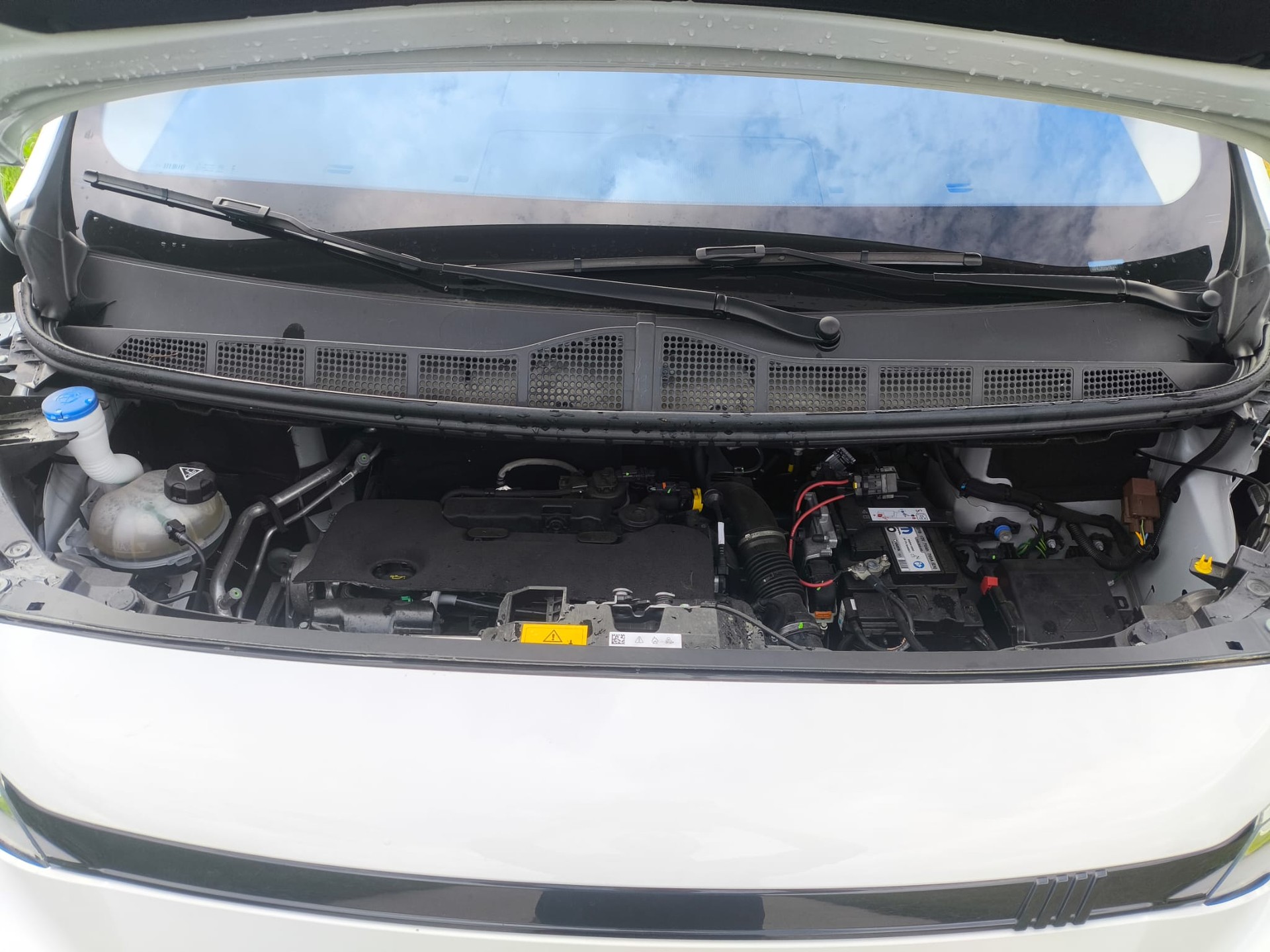 FIAT Kühlkasten mit Aggregat-image-6