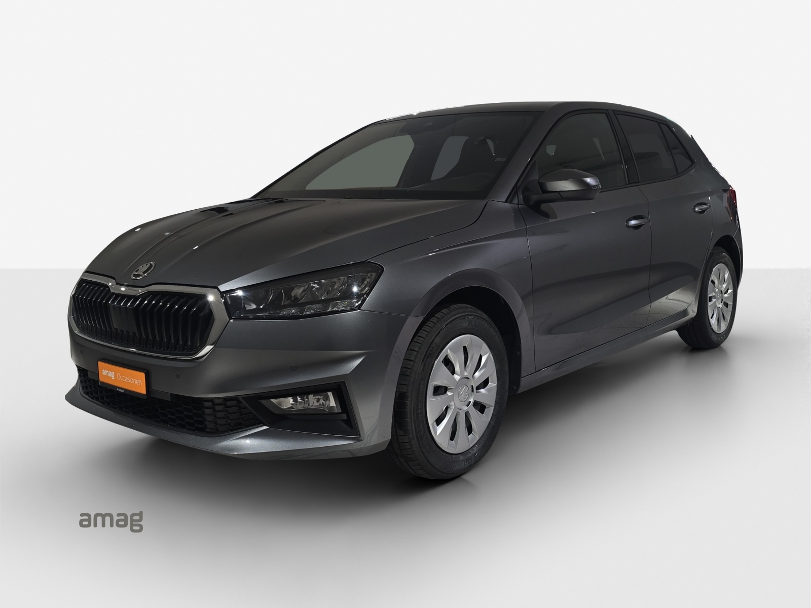 SKODA Fabia 1.0 TSI Selection DSG-image-0