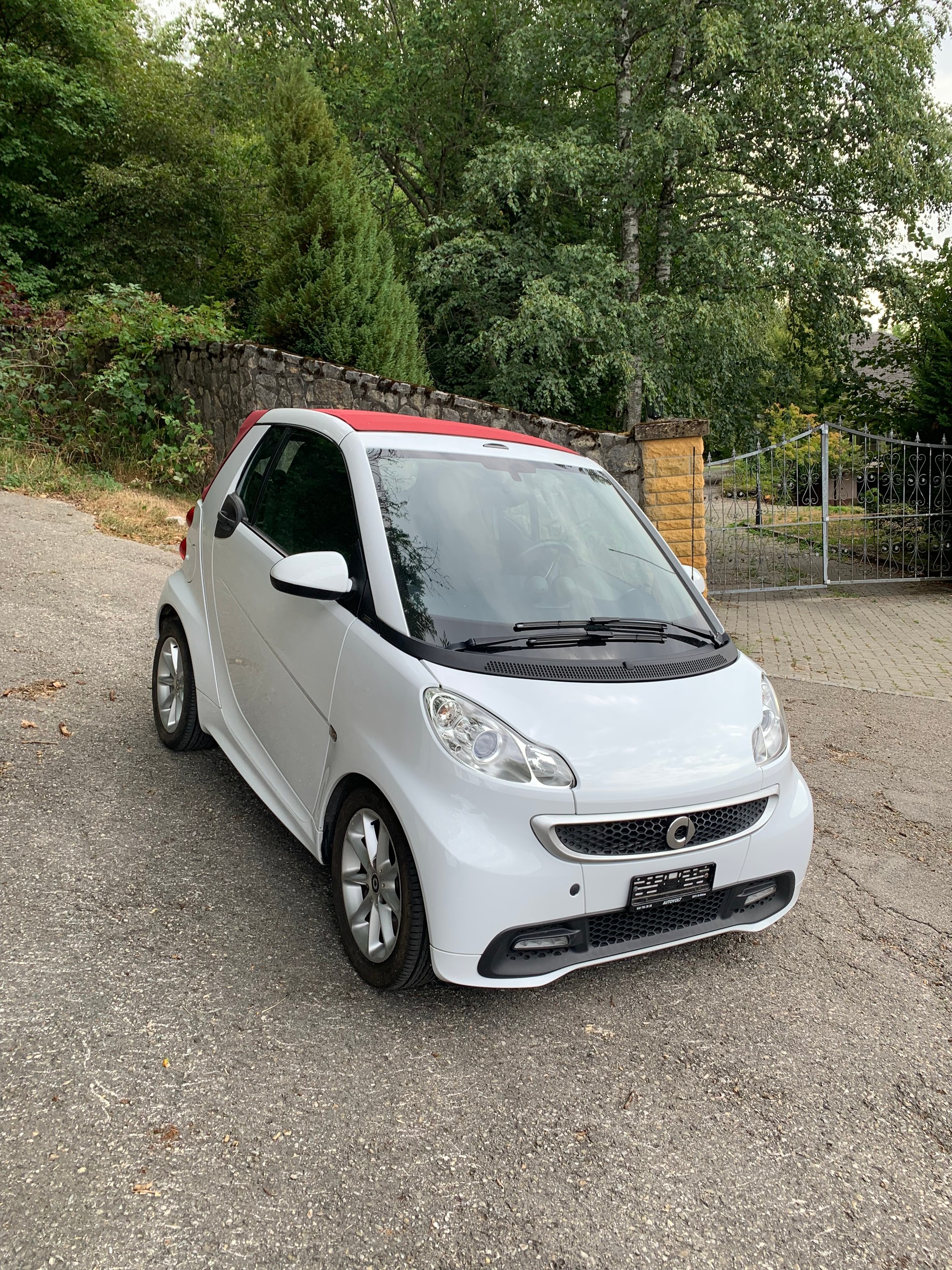 SMART 1000 71 Passion mhd-image-3