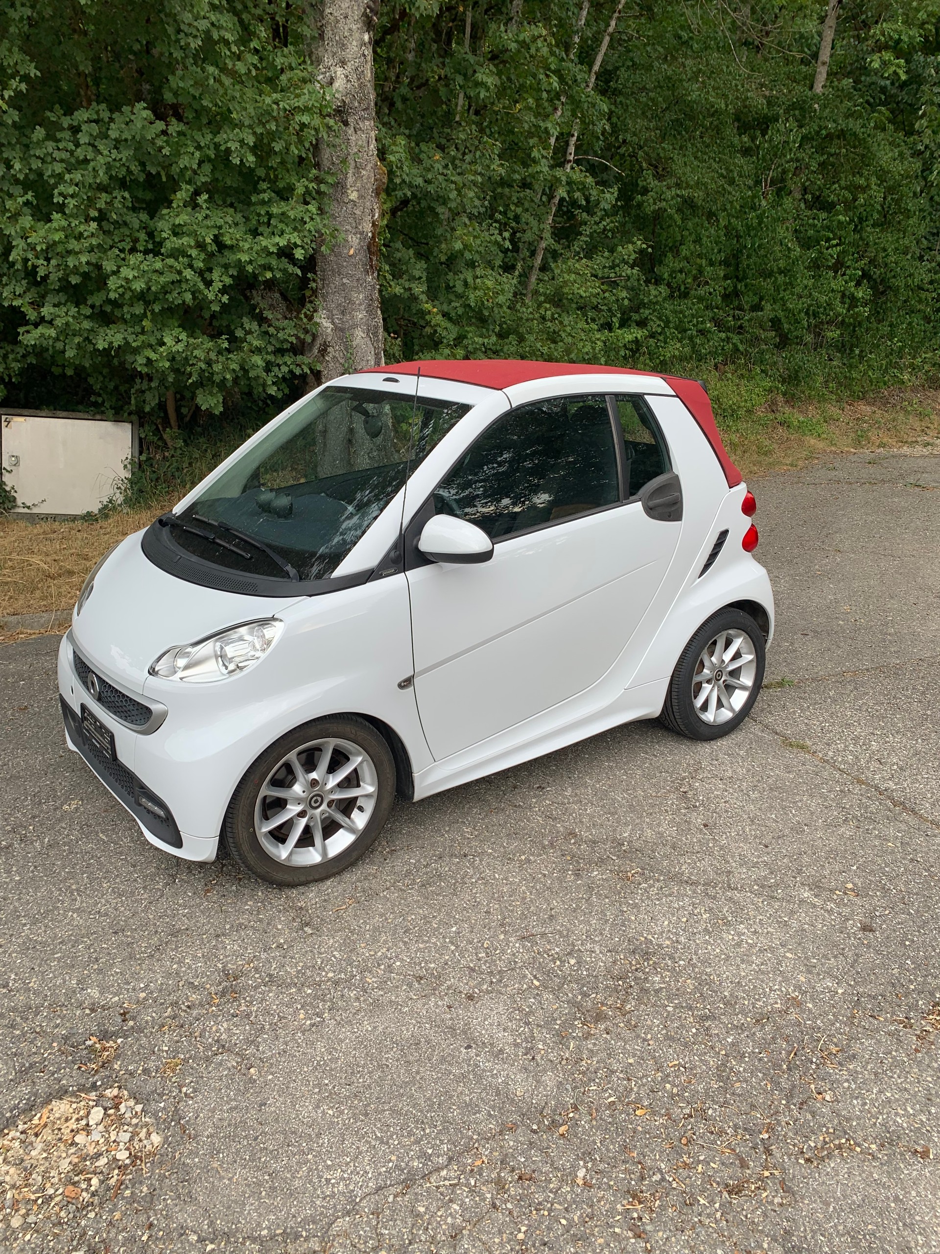 SMART 1000 71 Passion mhd-image-5