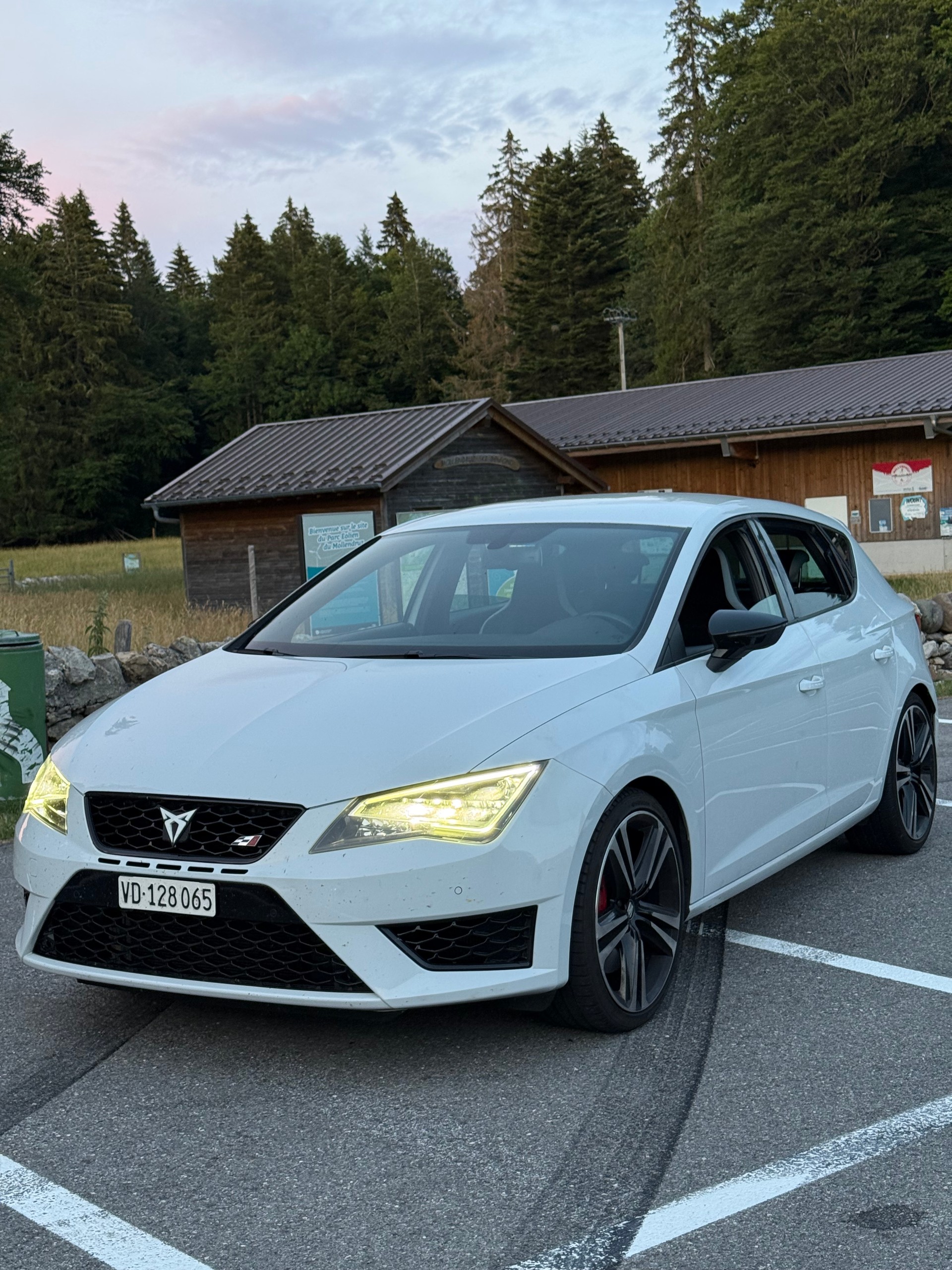 SEAT 2.0 TSI 280 Cupra DSG-image-0