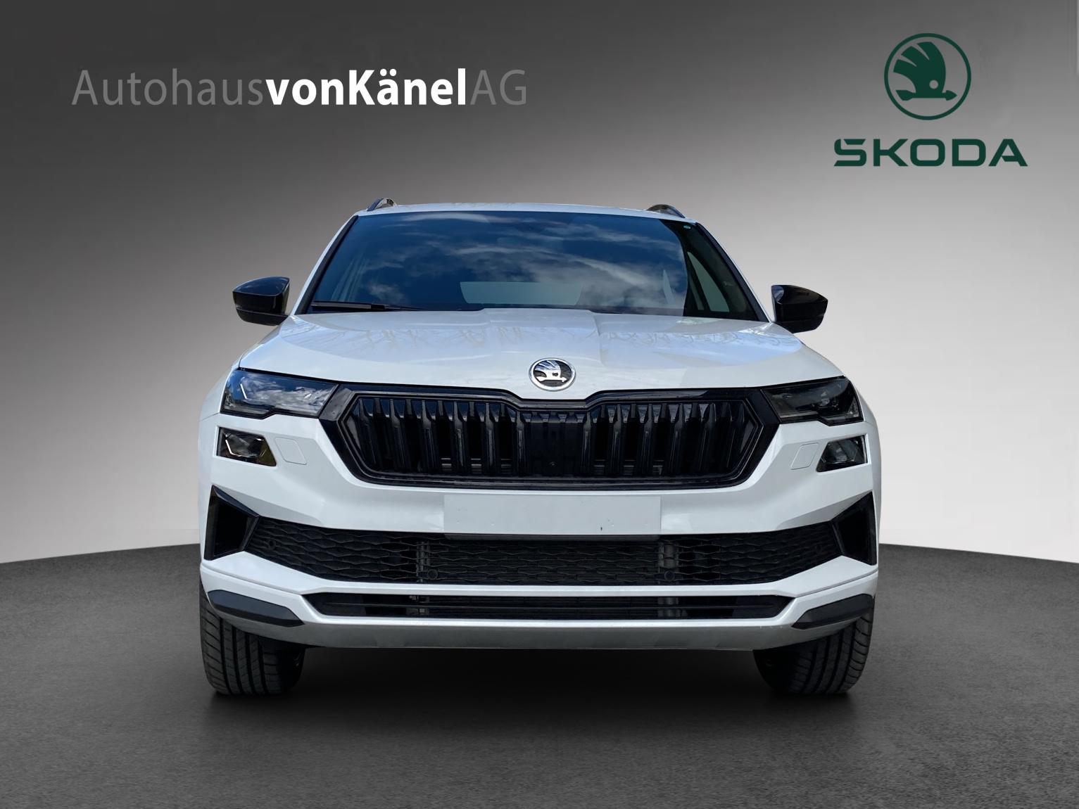 SKODA Karoq 2.0 TSI SportLine 4x4 DSG-image-3