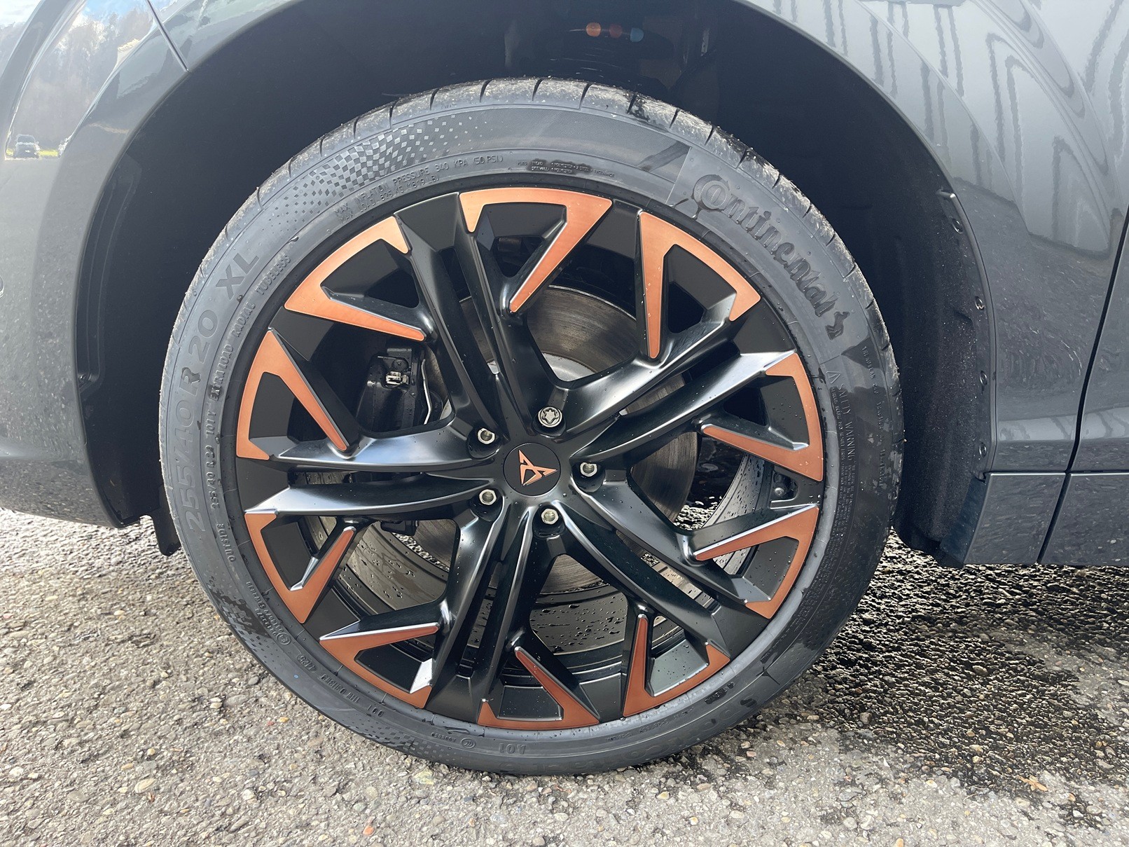 CUPRA Terramar 2.0 TSI DSG Prime Edition VZ 4Drive-image-8