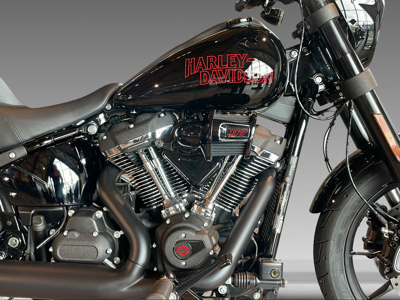 HARLEY-DAVIDSON FXLRS Low Rider S 117-image-8