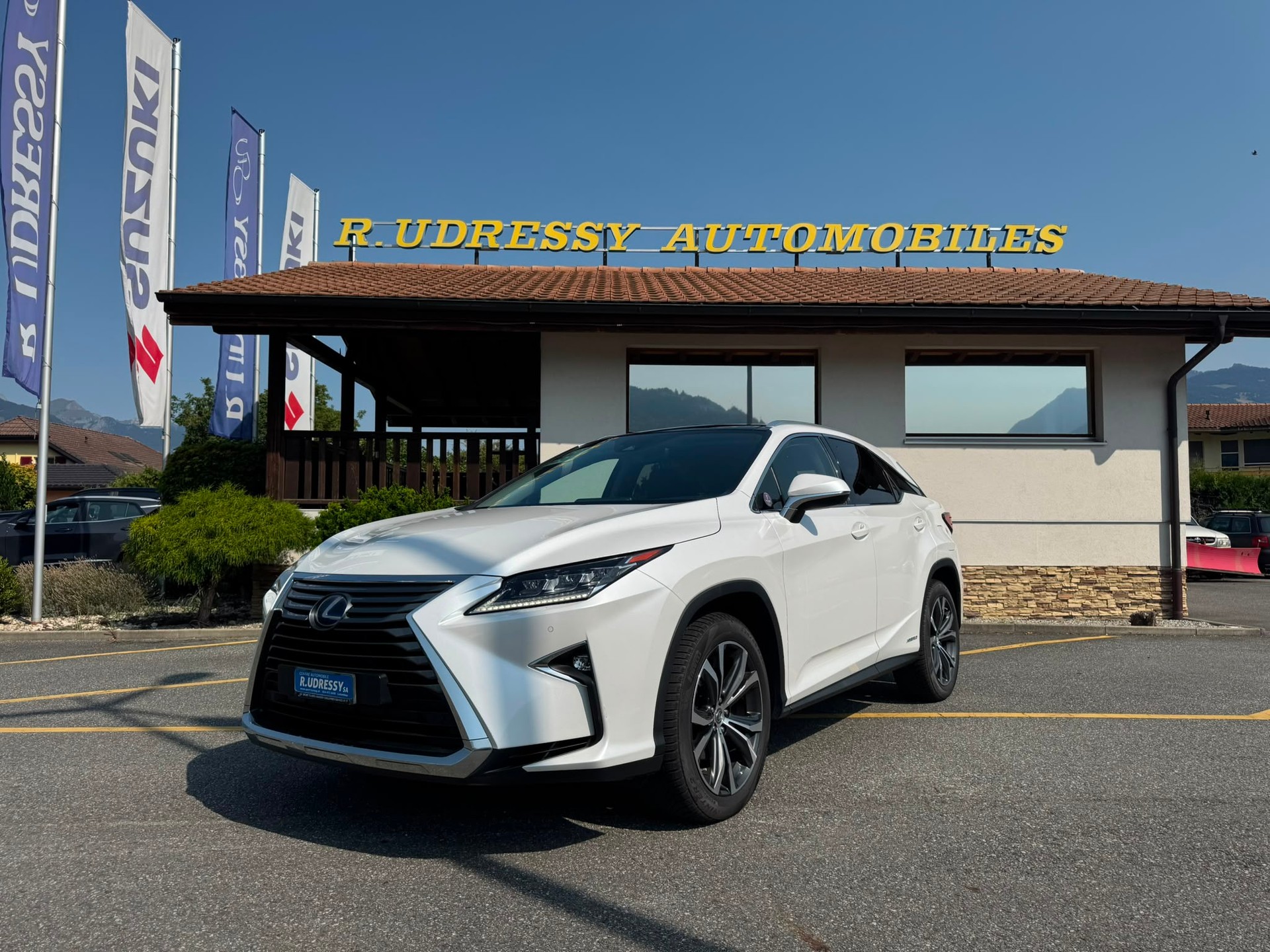 LEXUS RX 450h diamond AWD CVT-image-0