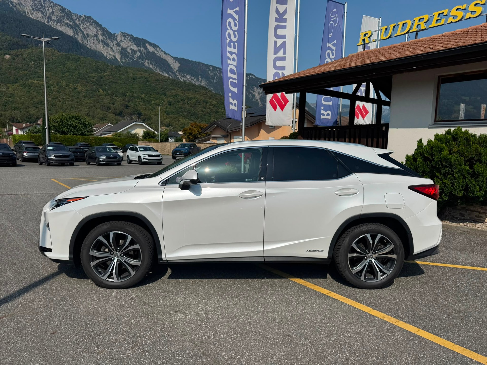 LEXUS RX 450h diamond AWD CVT-image-1