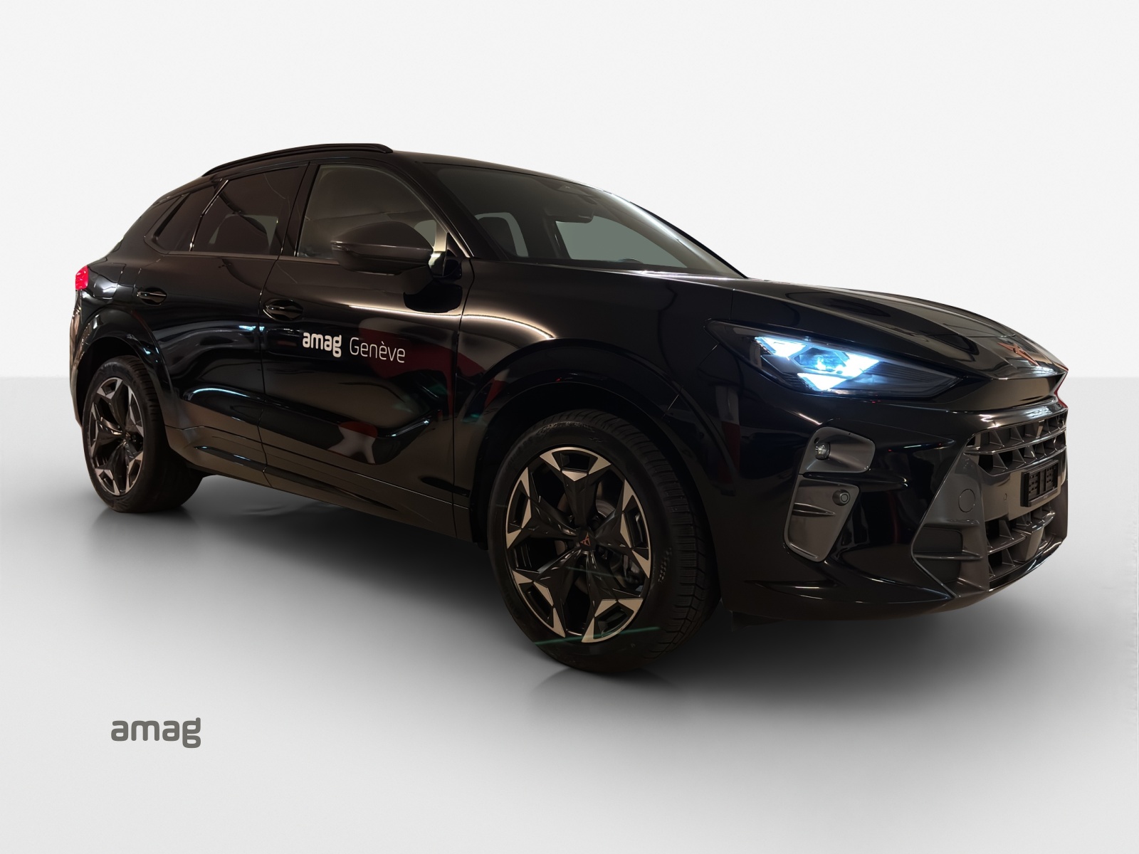 CUPRA Terramar 2.0 TSI DSG 4Drive-image-5