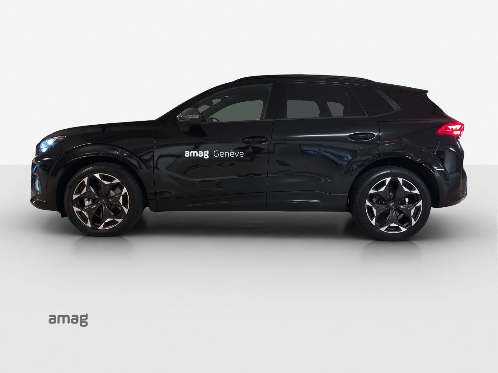CUPRA Terramar 2.0 TSI DSG 4Drive-image-1