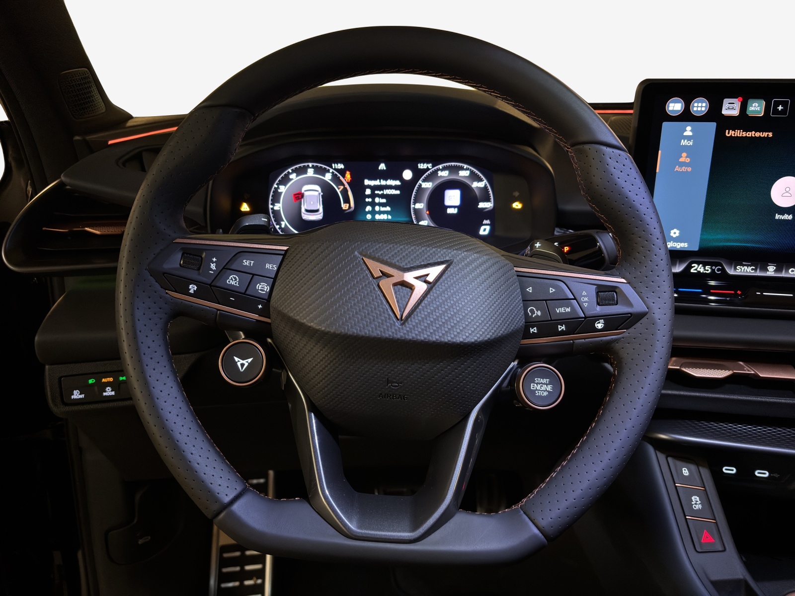 CUPRA Terramar 2.0 TSI DSG 4Drive-image-9