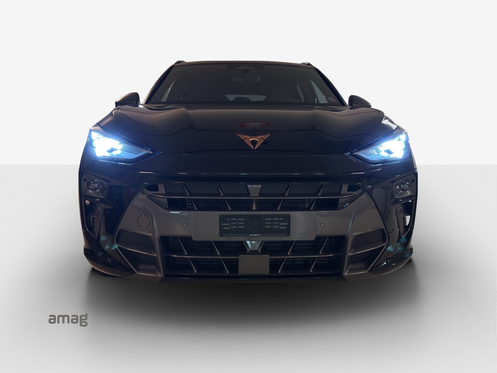 CUPRA Terramar 2.0 TSI DSG 4Drive-image-6