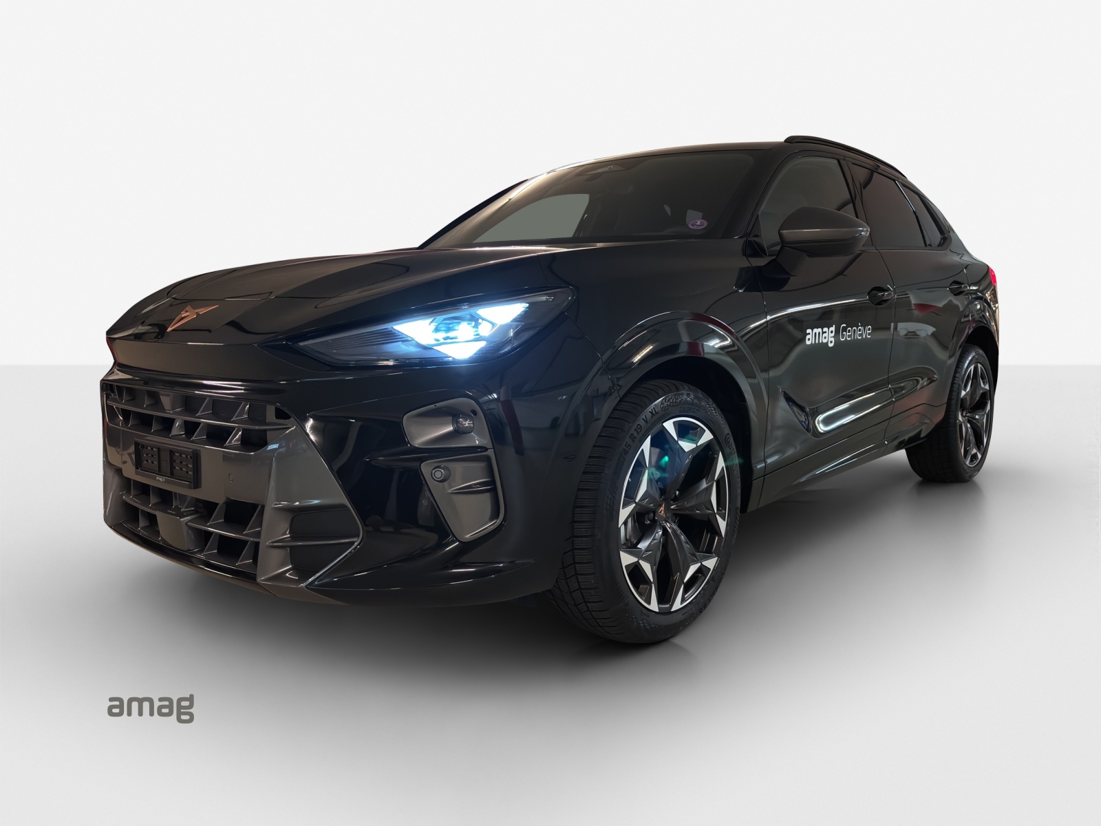 CUPRA Terramar 2.0 TSI DSG 4Drive-image-0