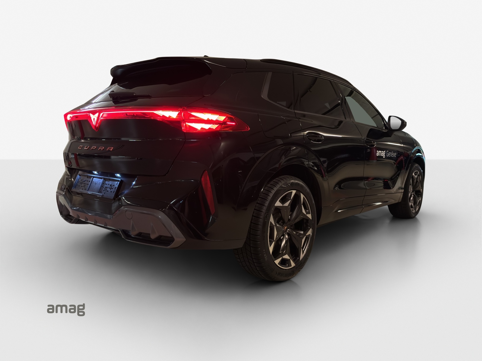 CUPRA Terramar 2.0 TSI DSG 4Drive-image-4