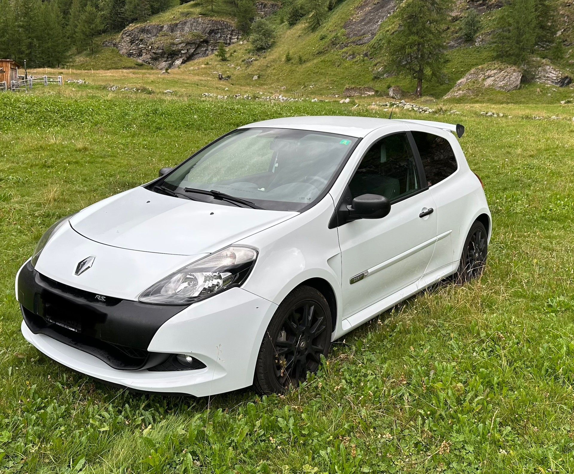 RENAULT 2.0 16V RS-image-0
