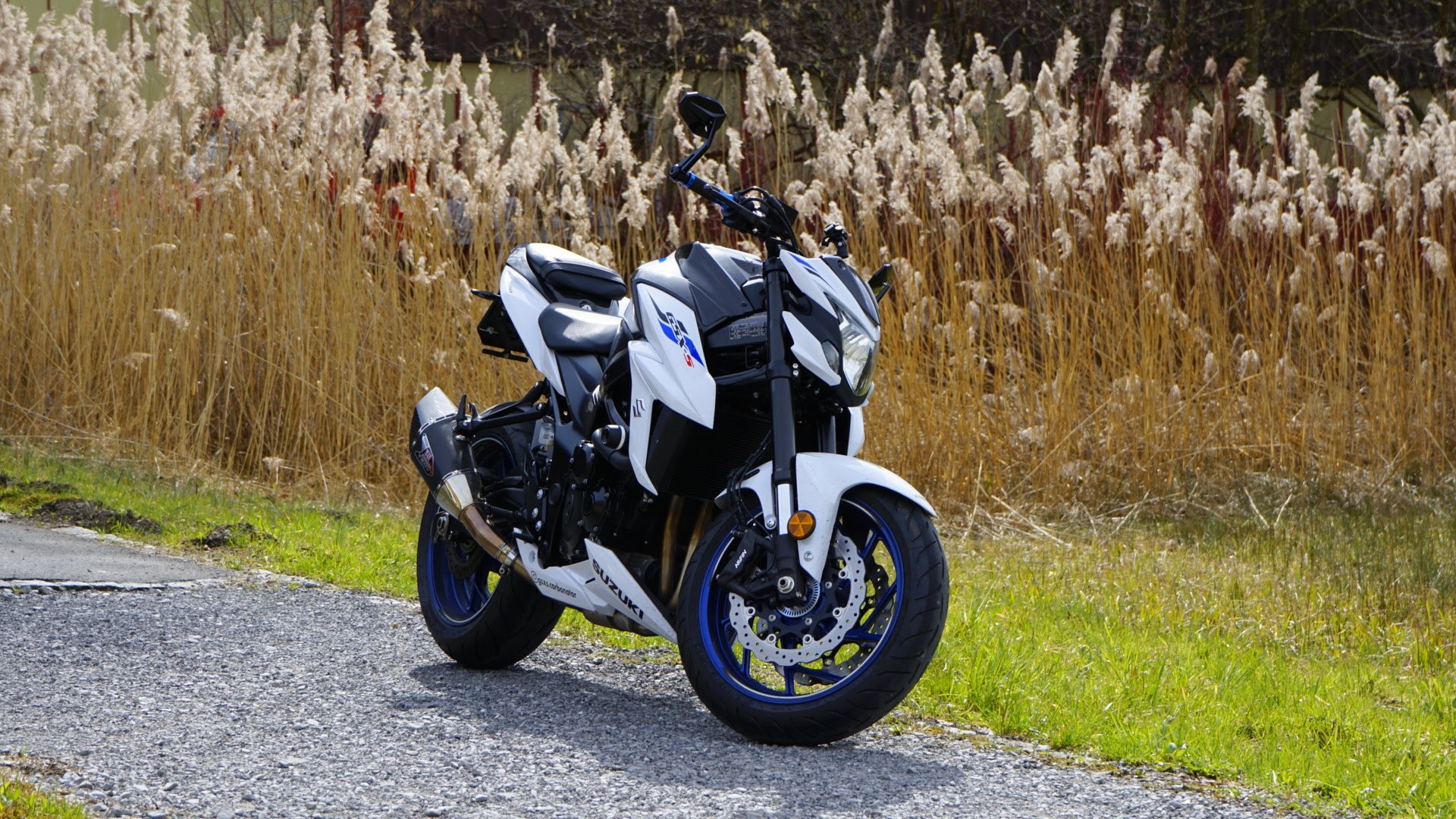SUZUKI GSX-S 750 World Champion (35kW)-image-8