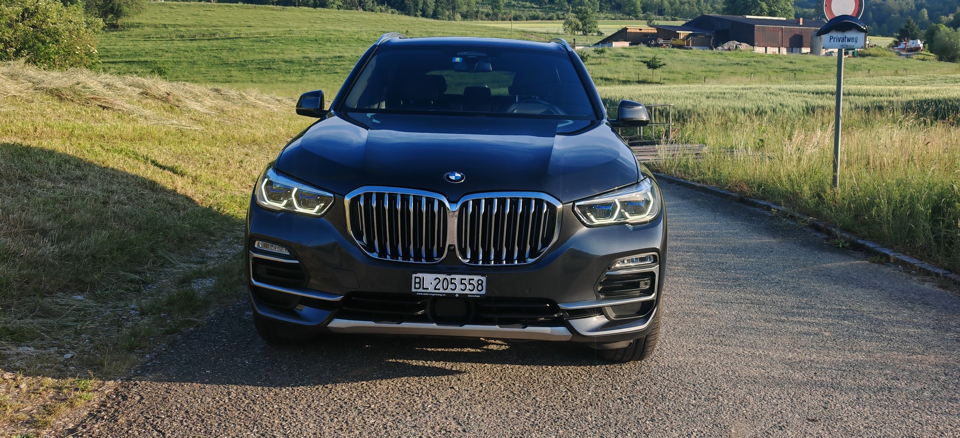 BMW 30d xDrive XLine Steptronic Luftfederung-image-5