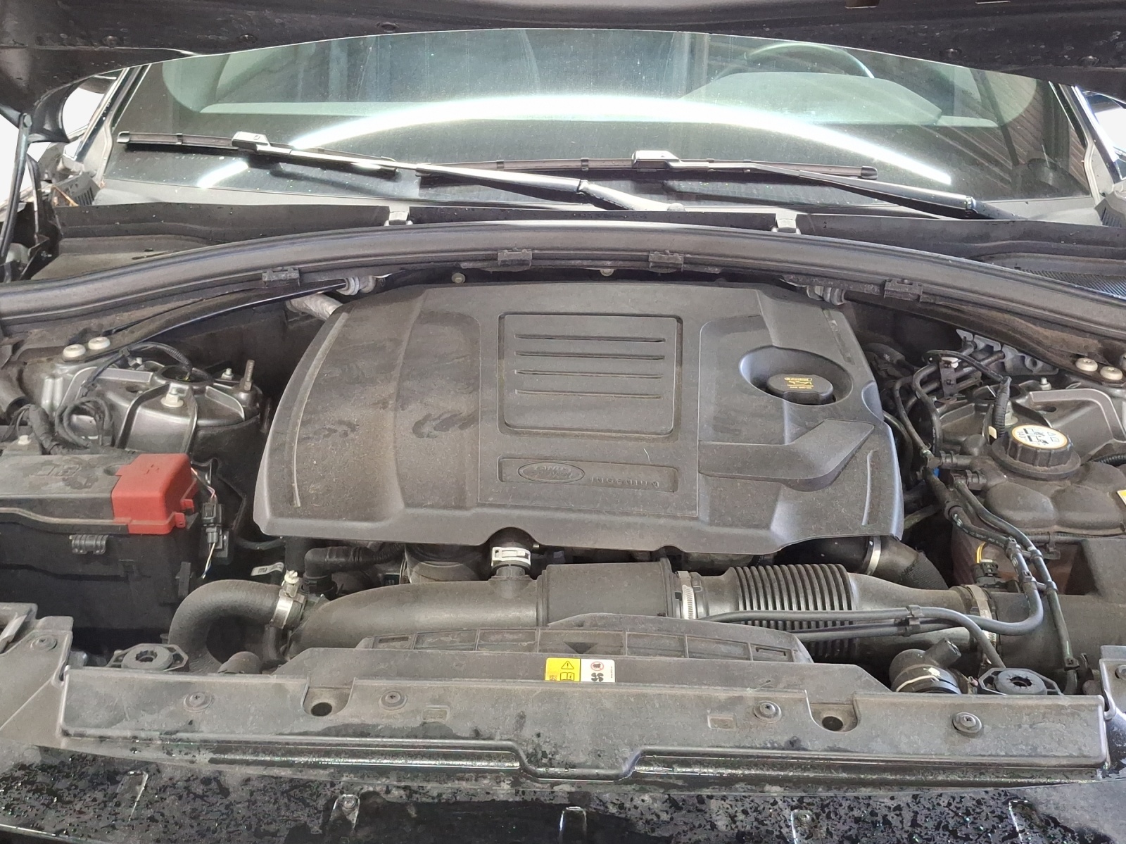 LAND ROVER Range Rover Velar R-Dynamic P 250 S Automatic-image-15