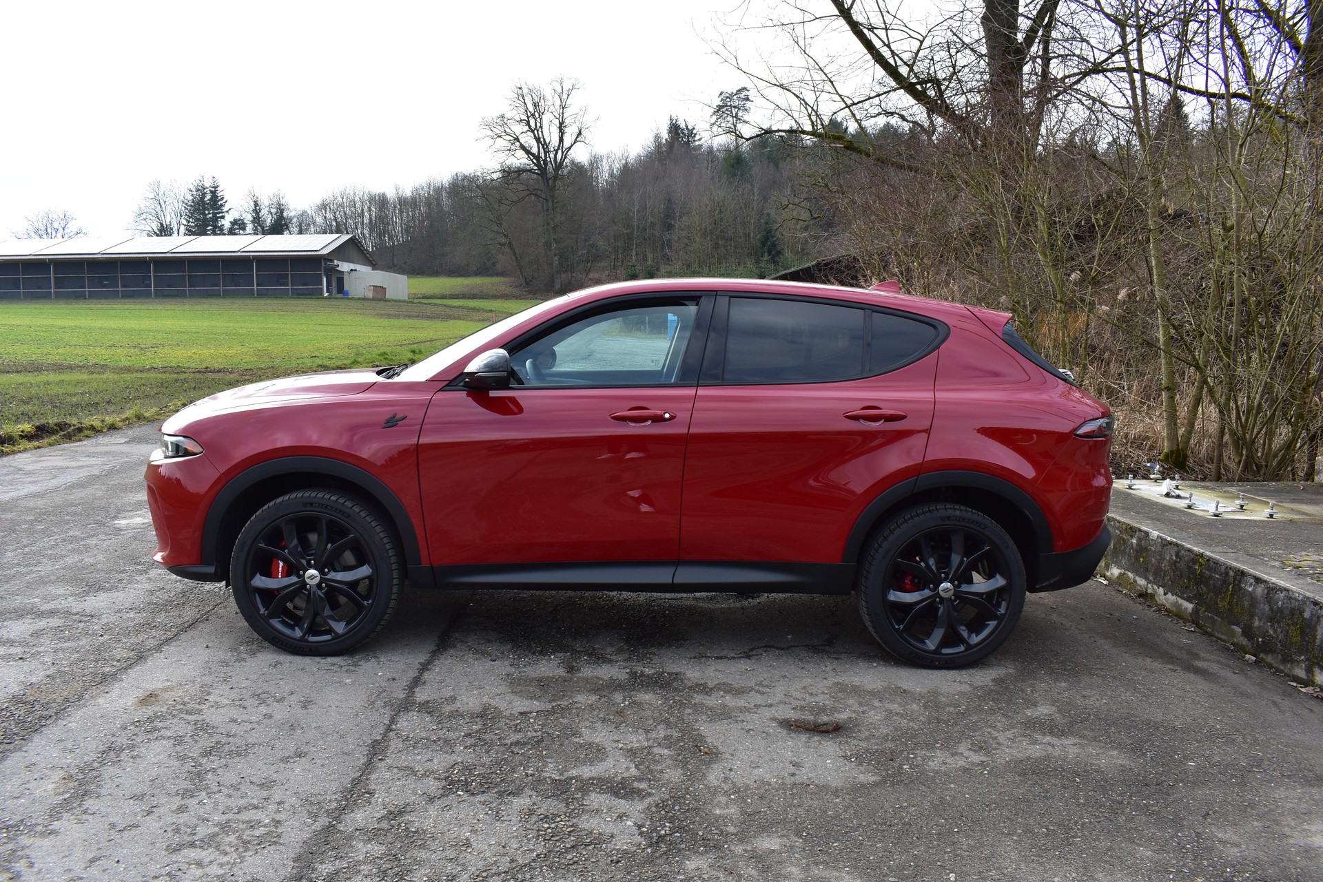 DODGE Hornet GT Plus AWD 2.0-image-6