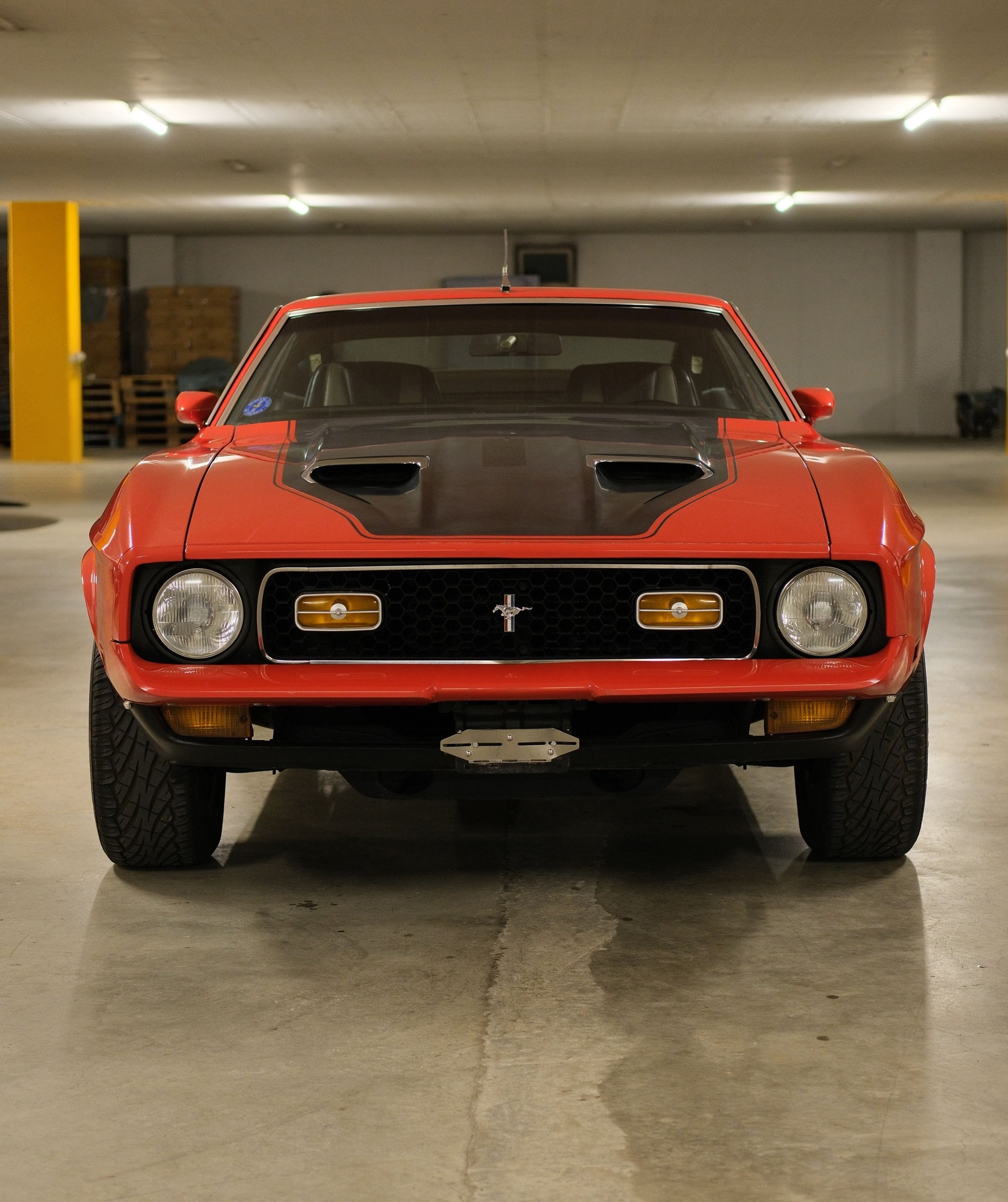 FORD Mach 1-image-1