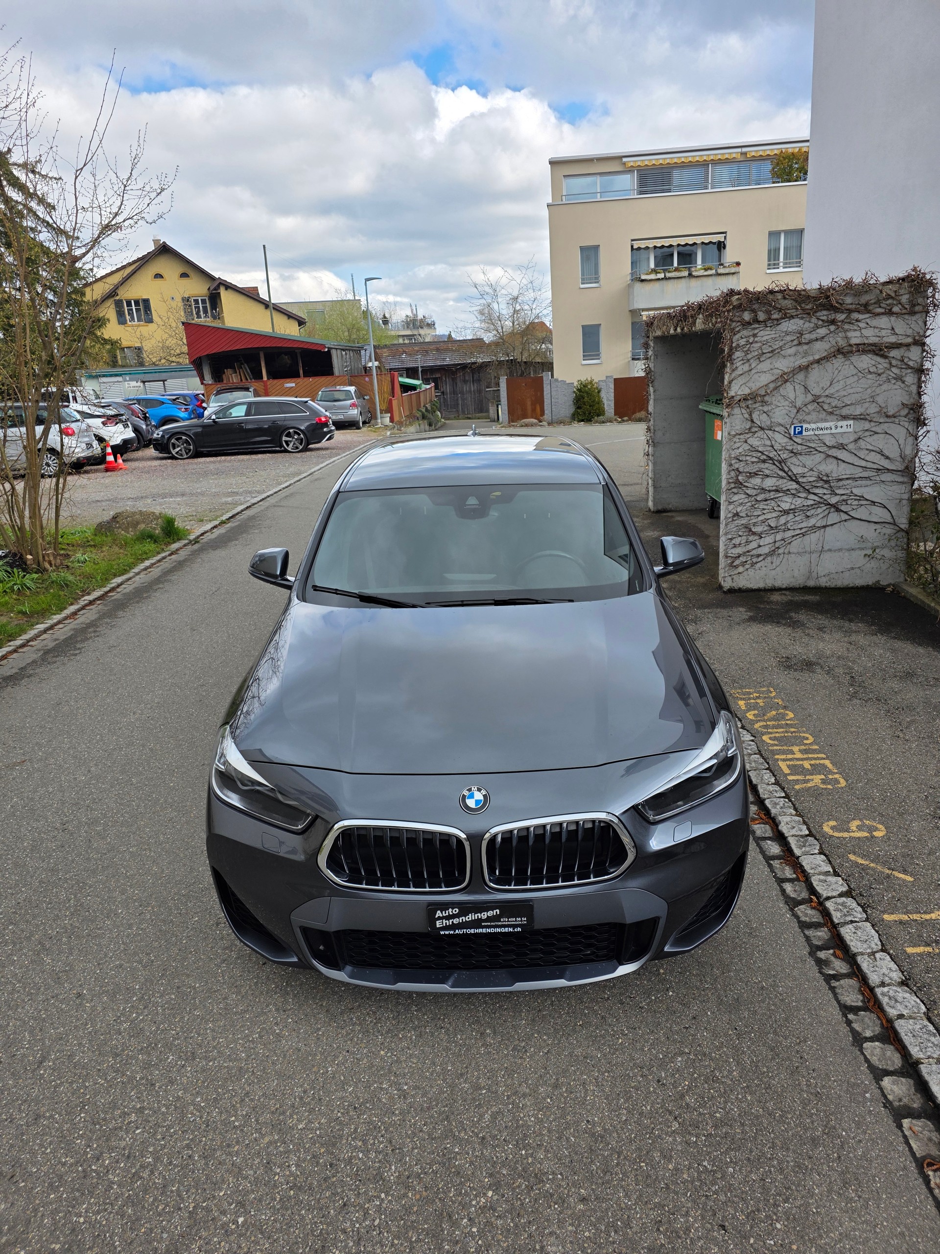 BMW X2 xDrive 20d M Sport X Steptronic-showroom-element-2
