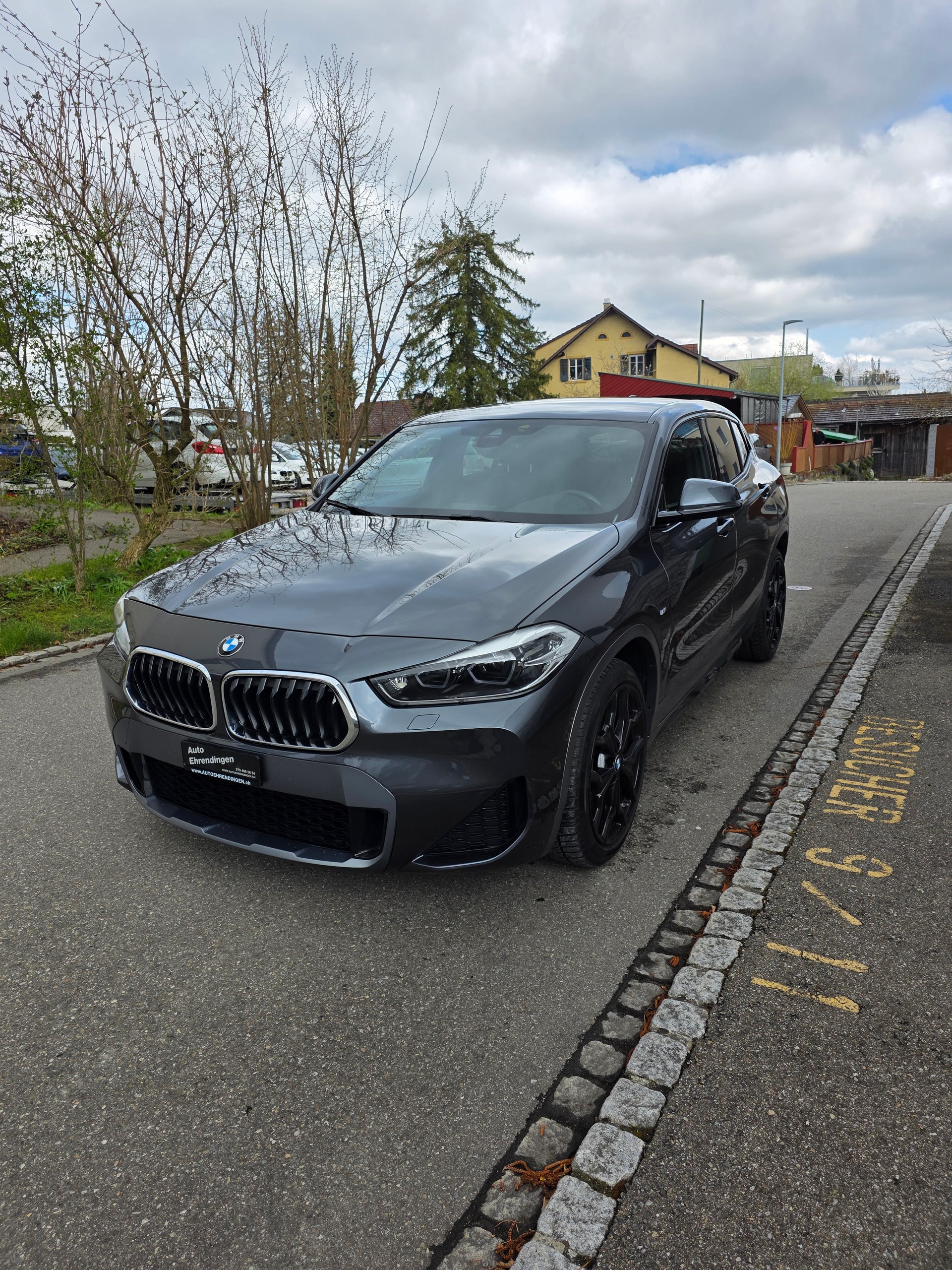 BMW X2 xDrive 20d M Sport X Steptronic