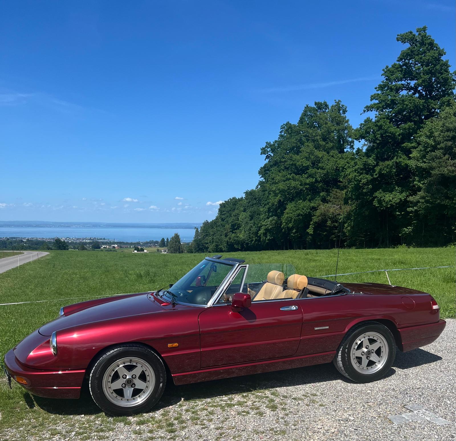 ALFA ROMEO 2.0 Q.Verde-image-0