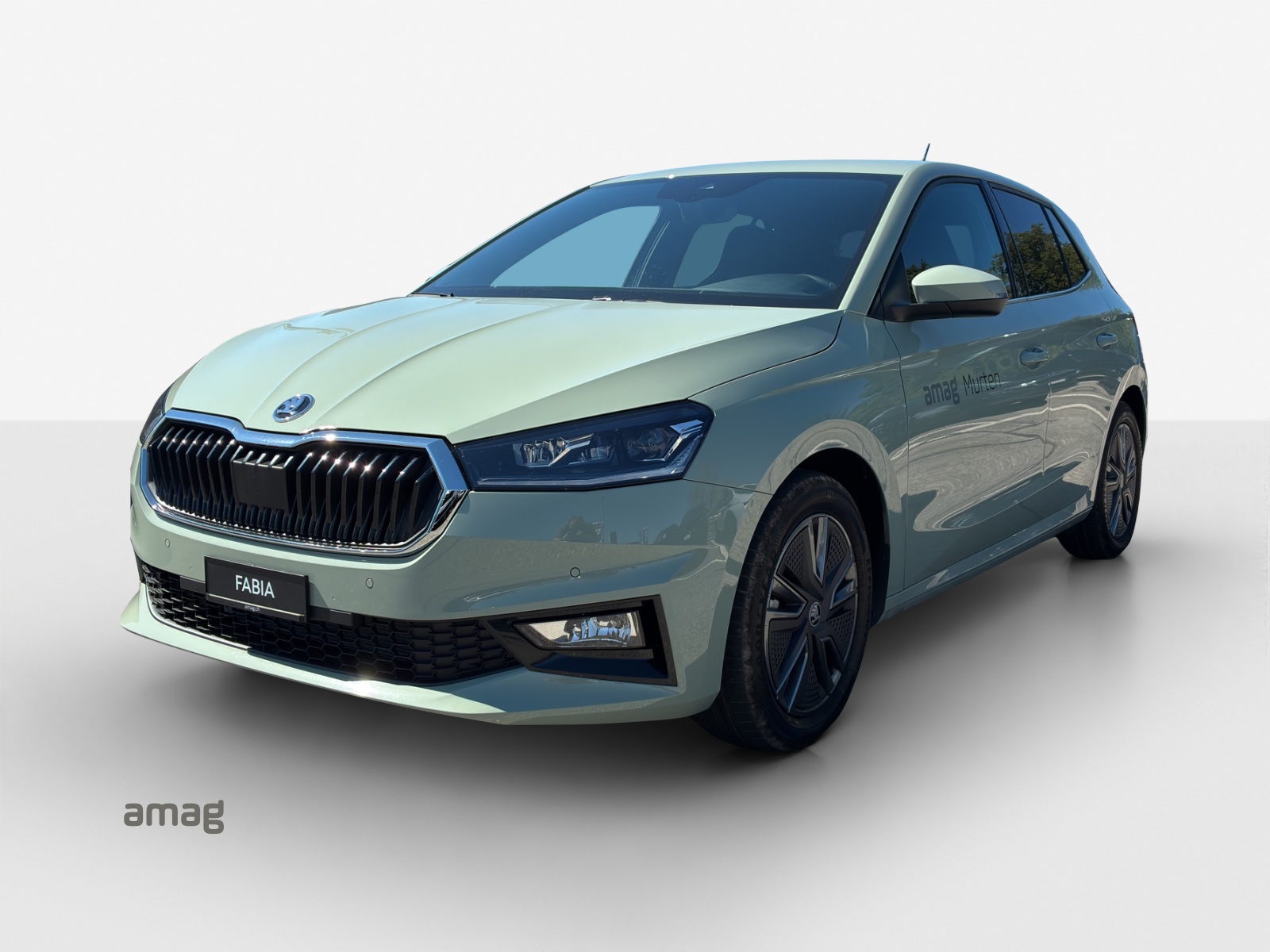 SKODA Fabia 1.0 TSI Dynamic DSG-image-0