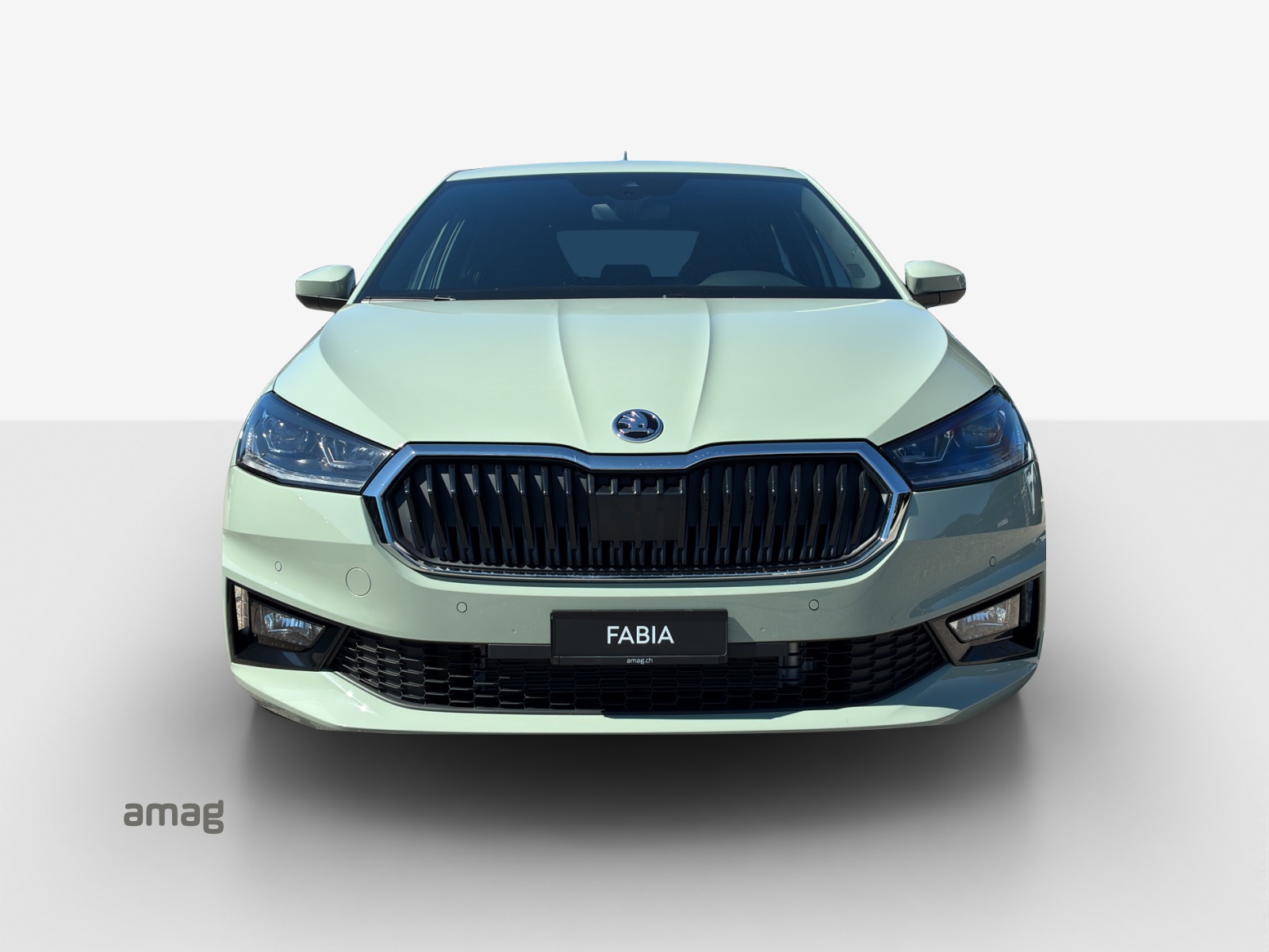 SKODA Fabia 1.0 TSI Dynamic DSG-image-6