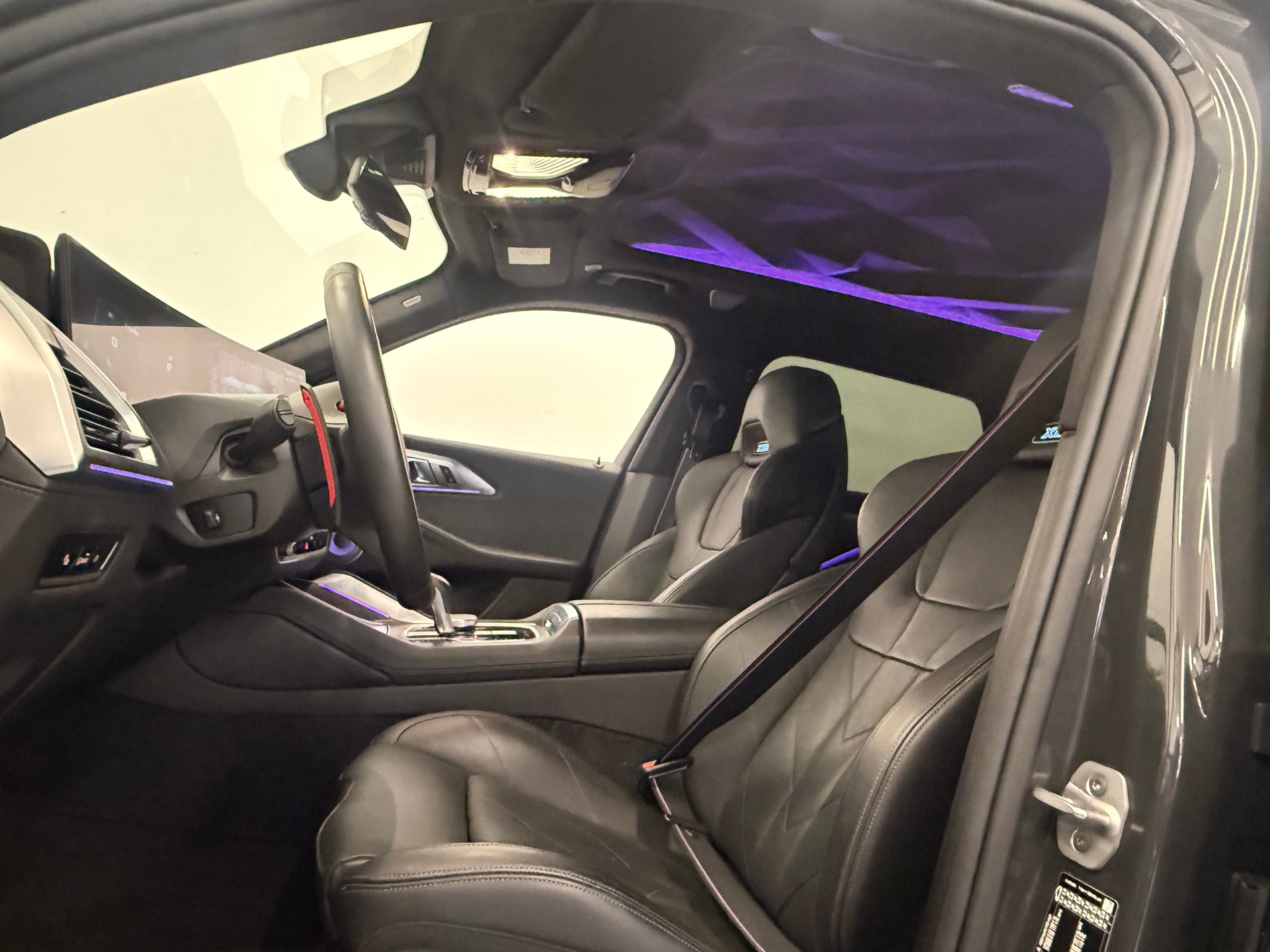 BMW XM xDrive PHEV Steptronic-image-14